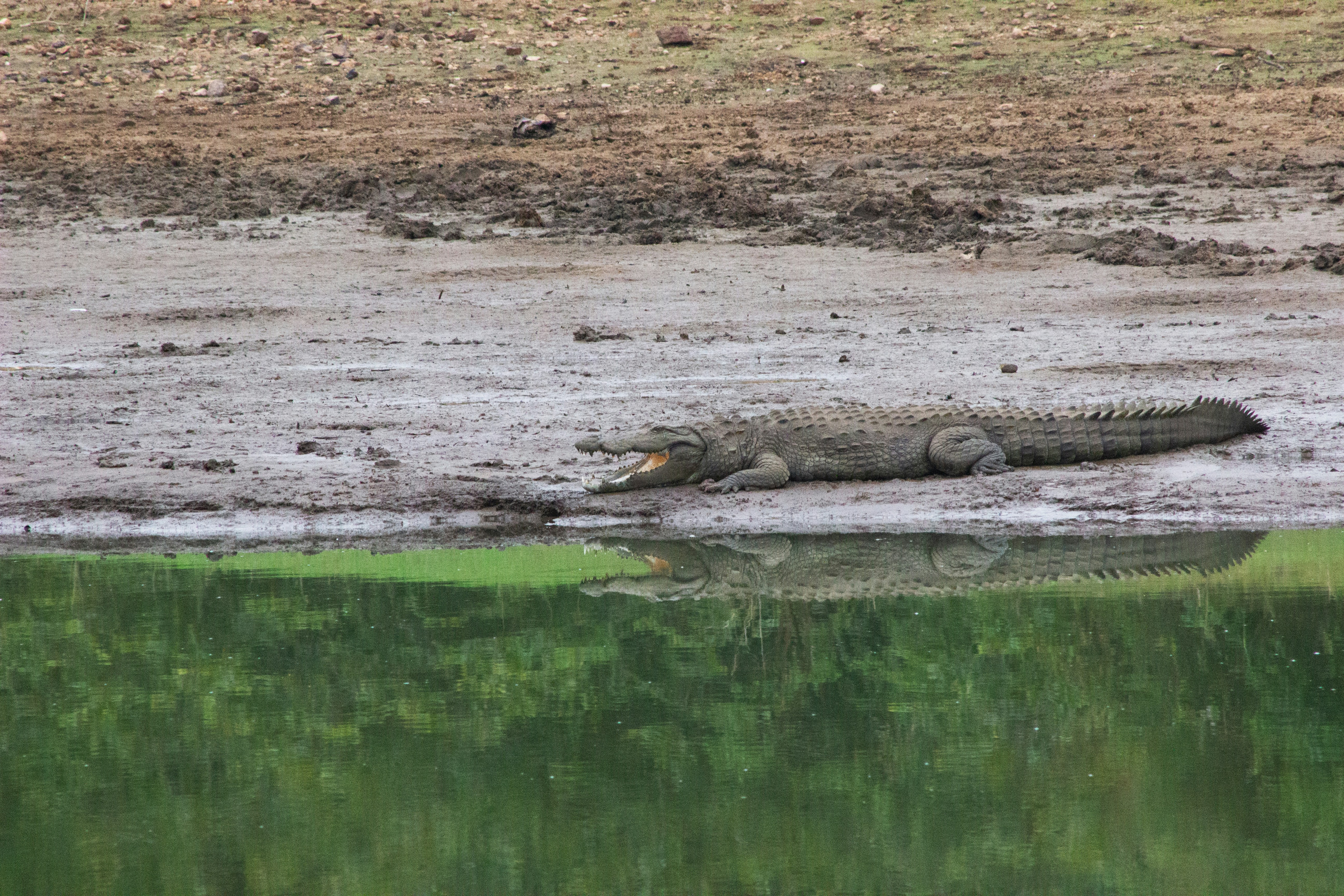 Photo by happy_sad_repeat