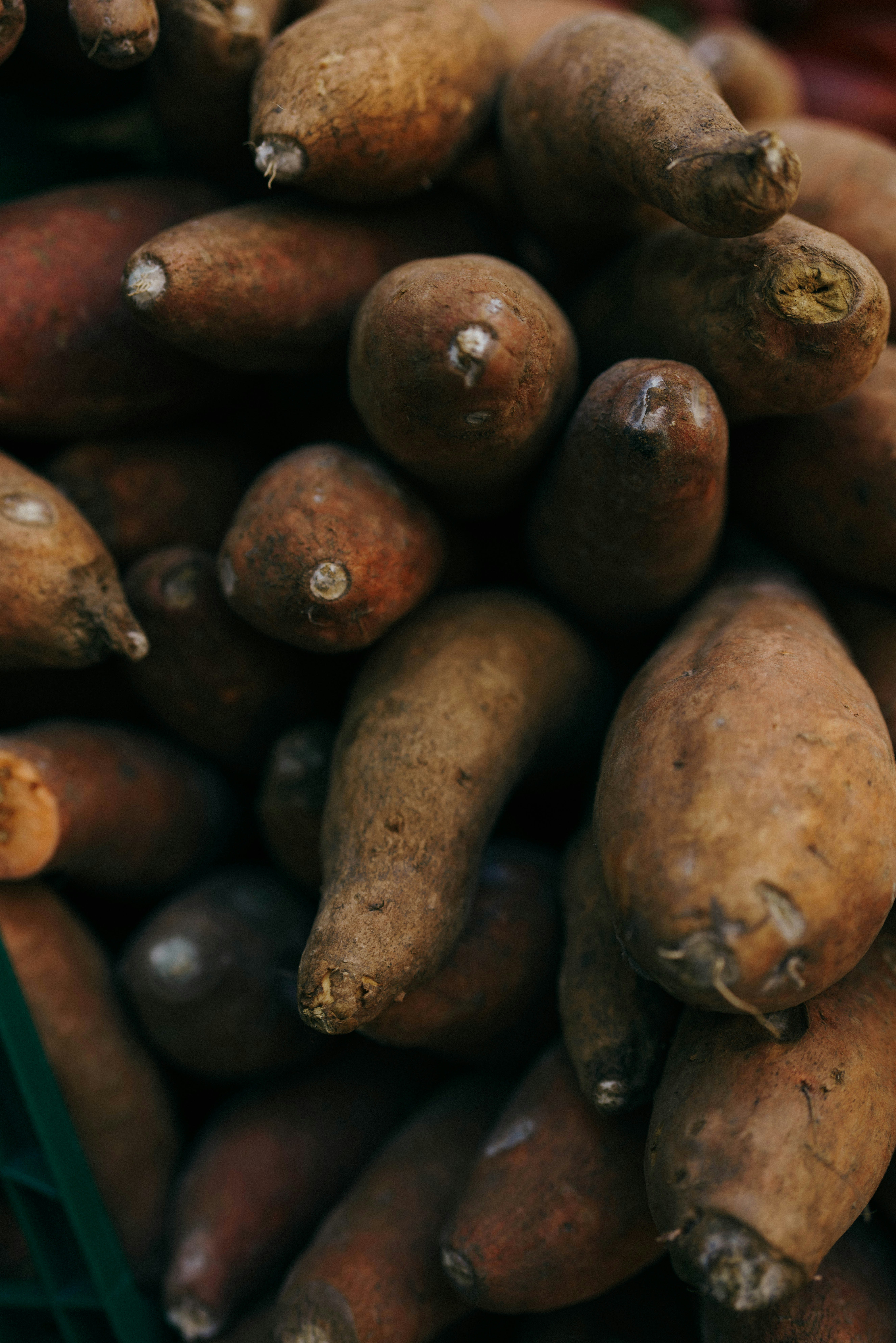 Photo by yenderfonseca