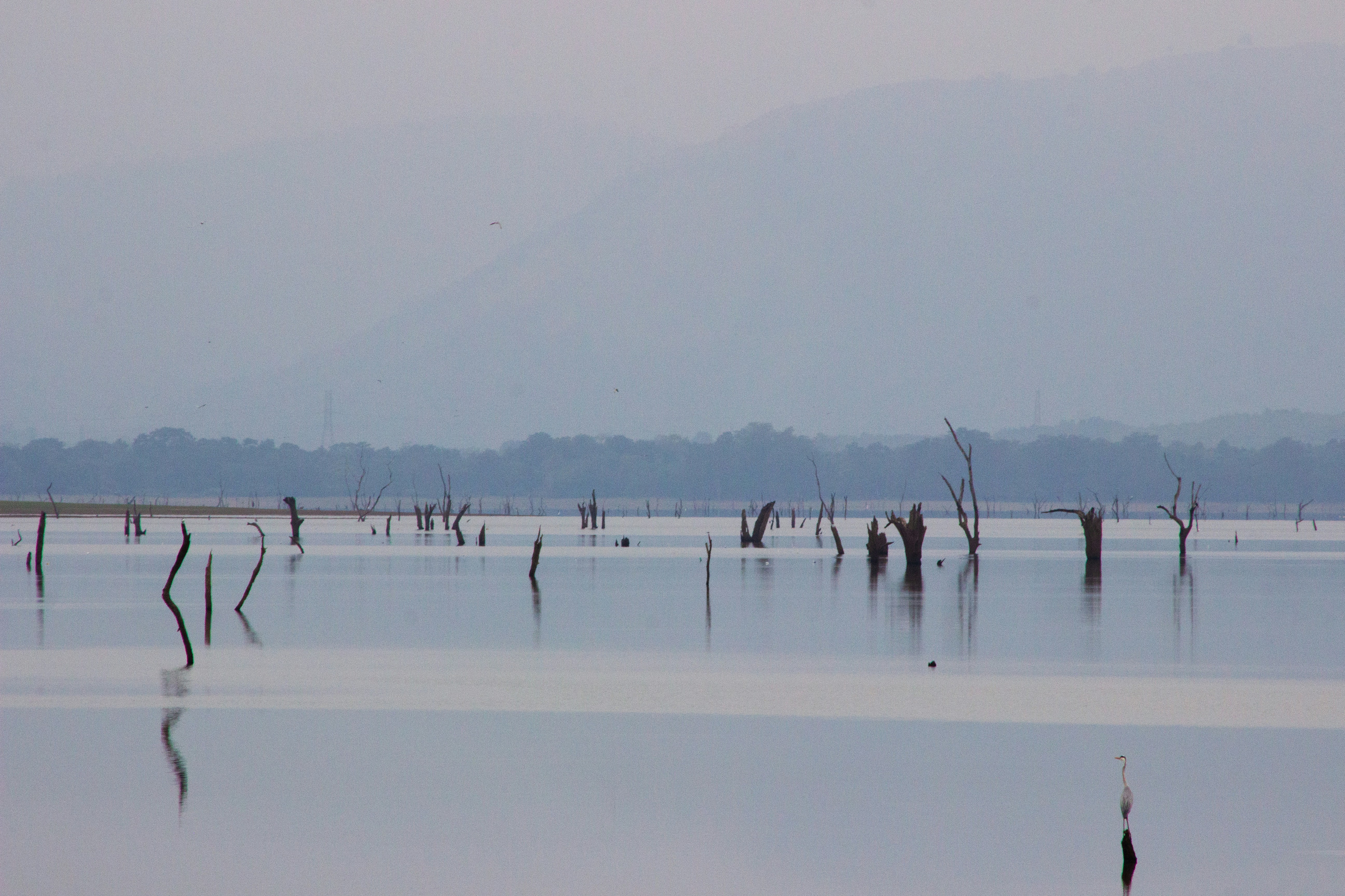 Photo by happy_sad_repeat