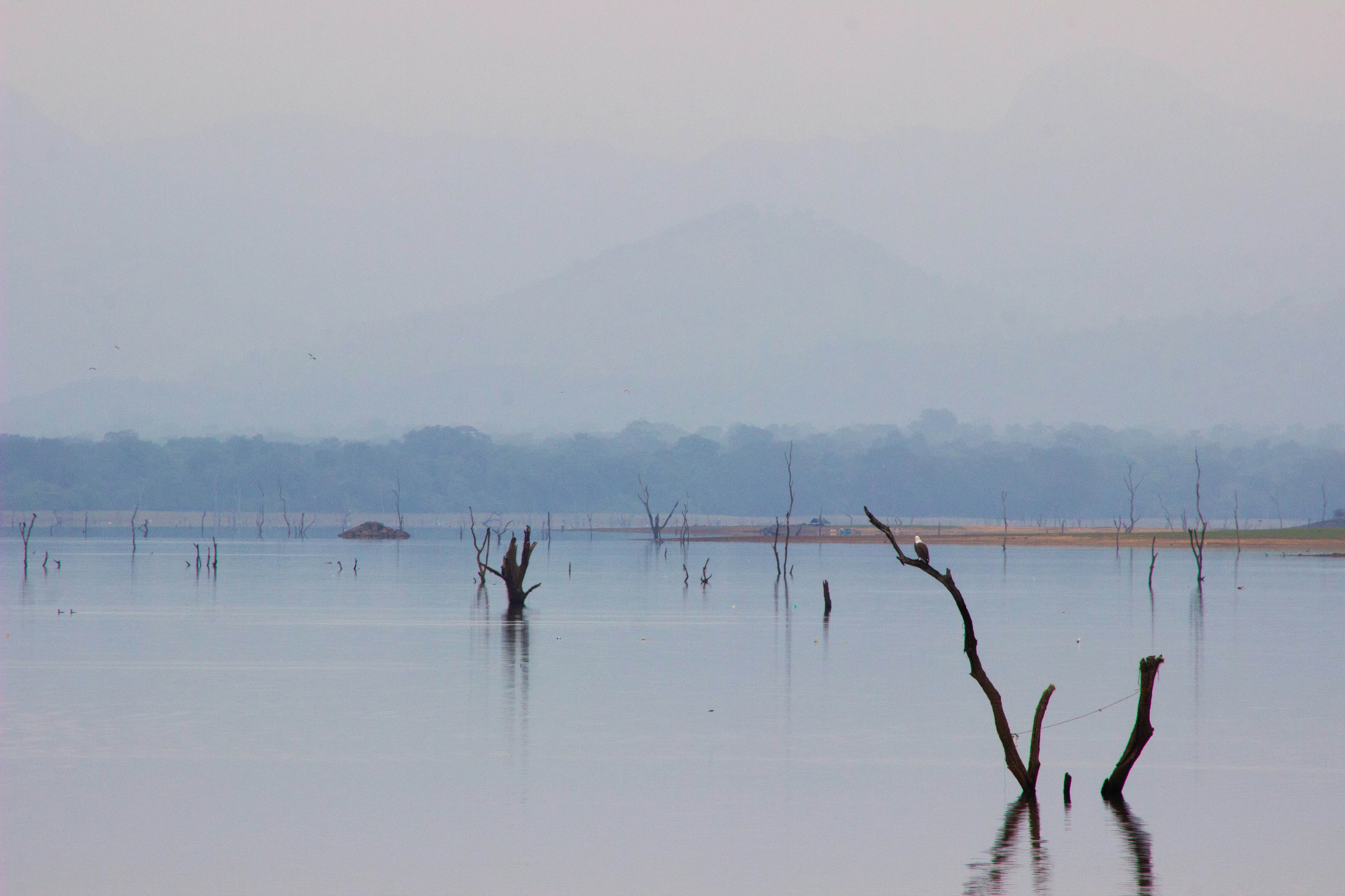 Photo by happy_sad_repeat