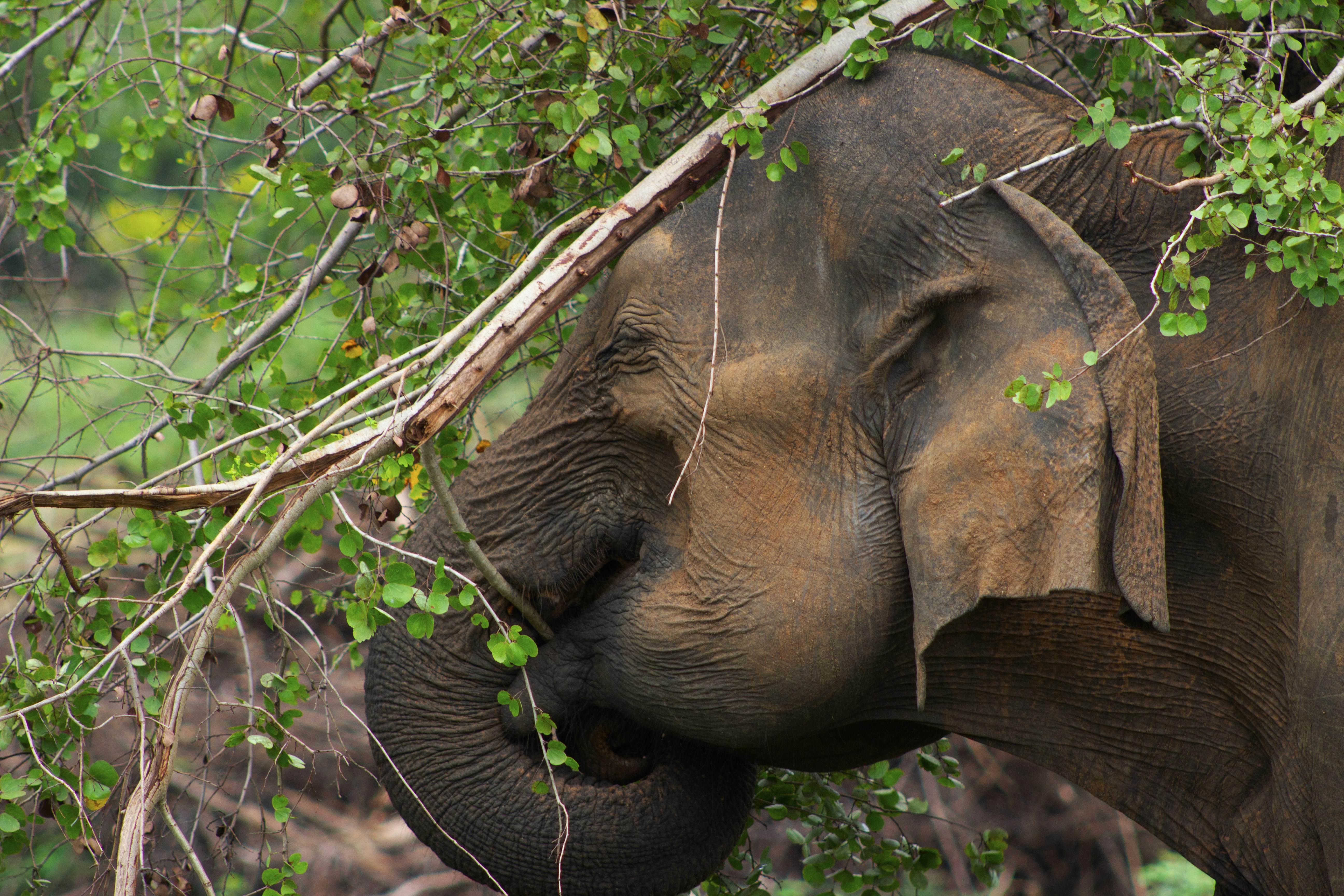 Photo by happy_sad_repeat