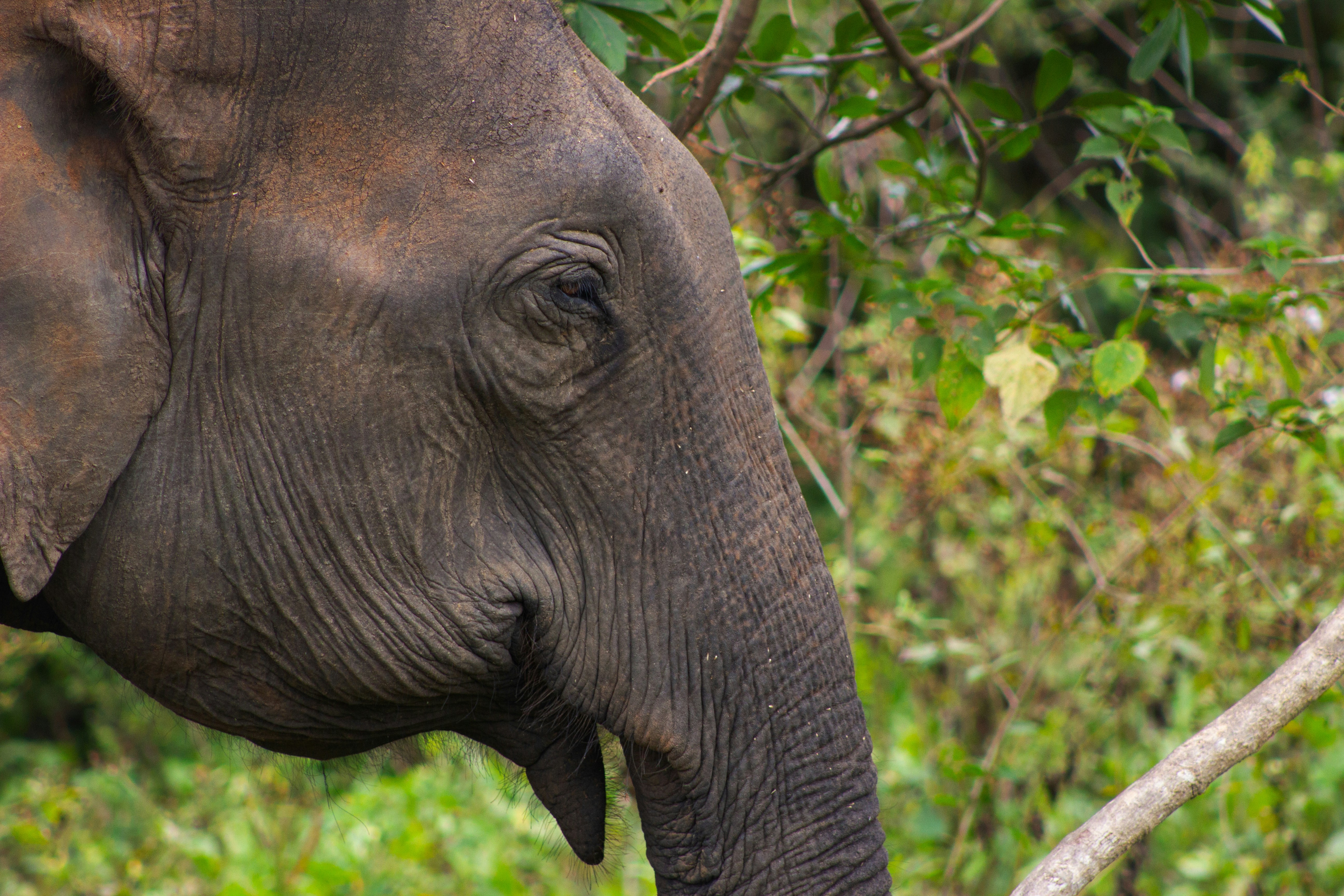 Photo by happy_sad_repeat