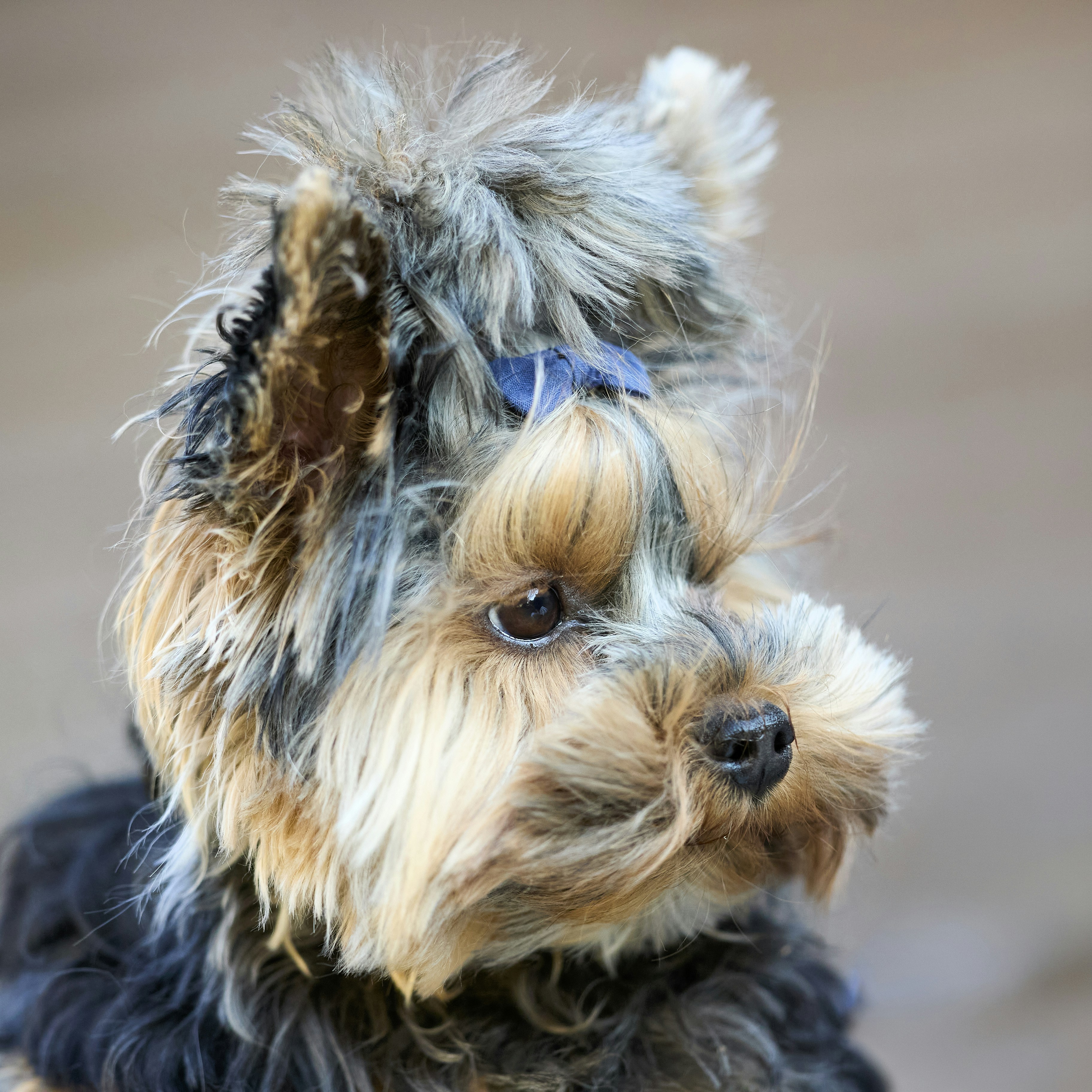 Photo by erwinbosman