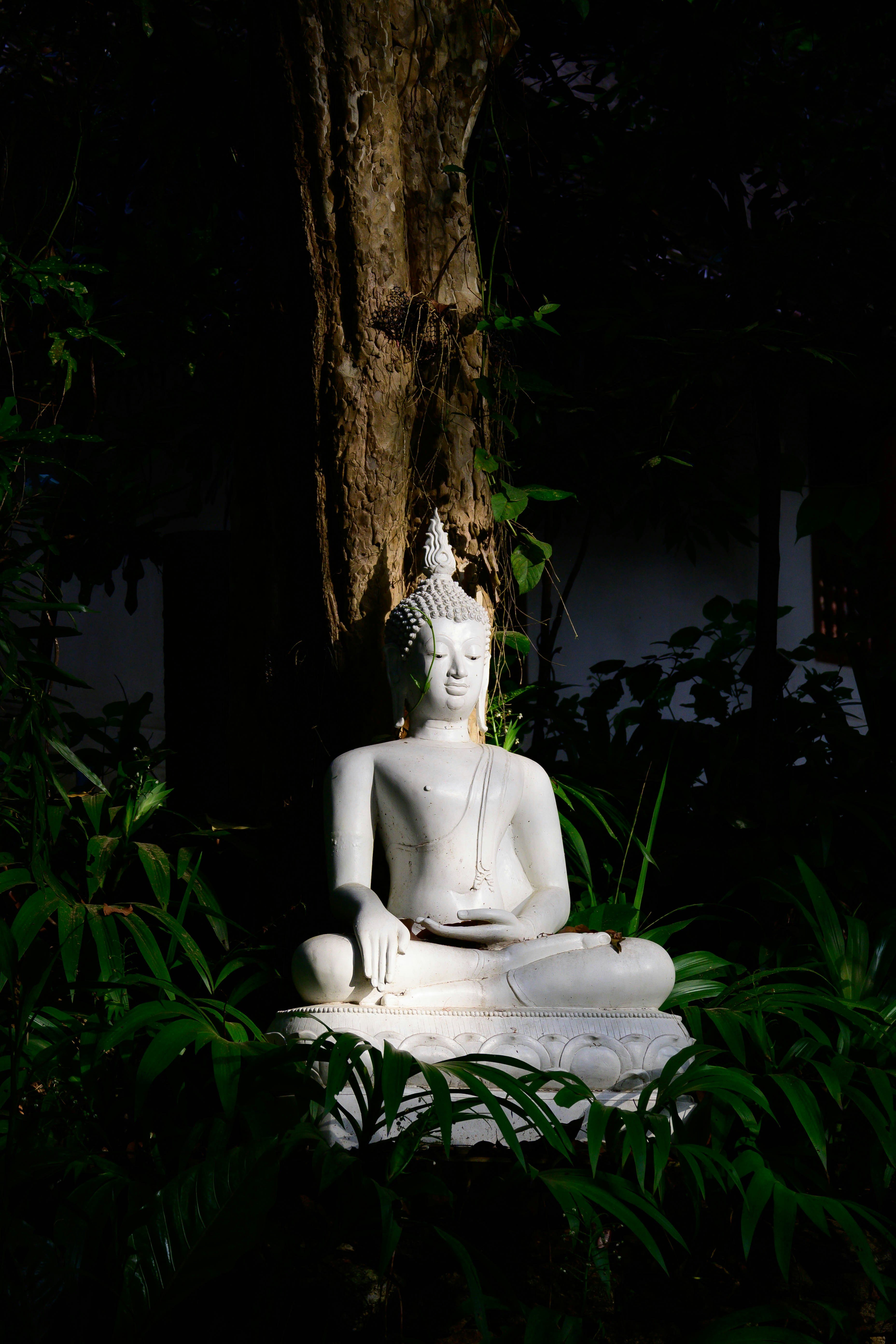 Photo by bobohuang_92