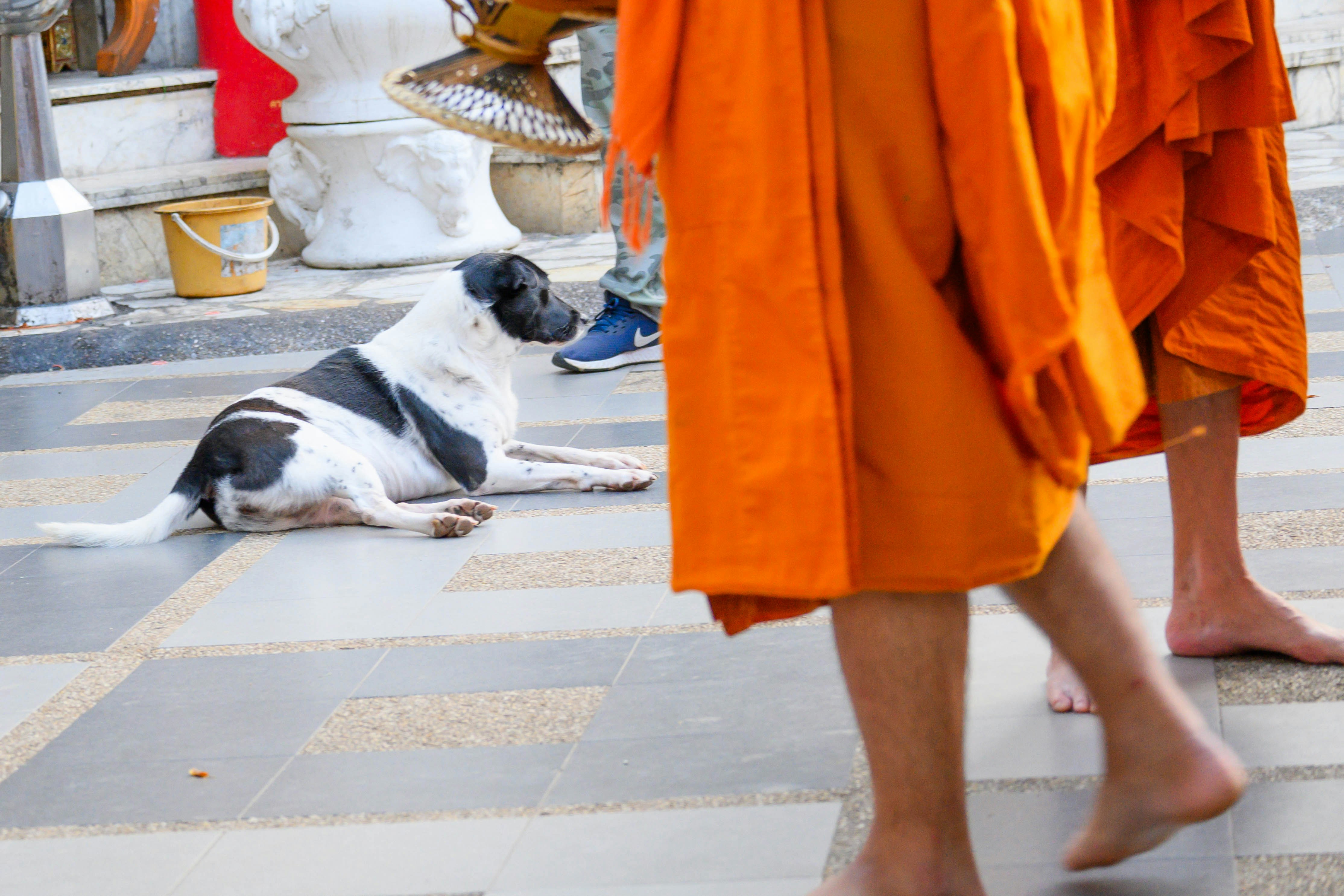 Photo by bobohuang_92