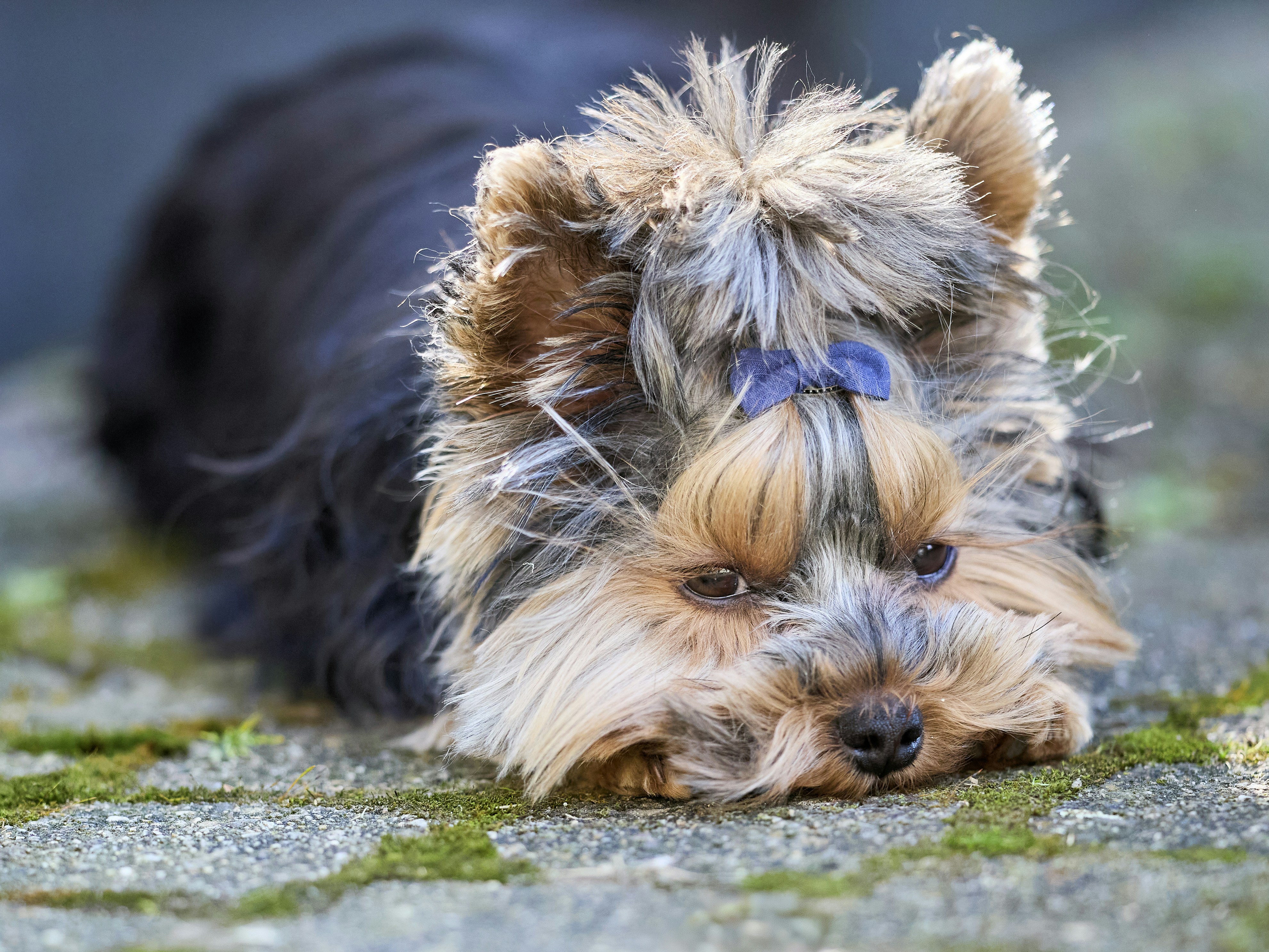 Photo by erwinbosman