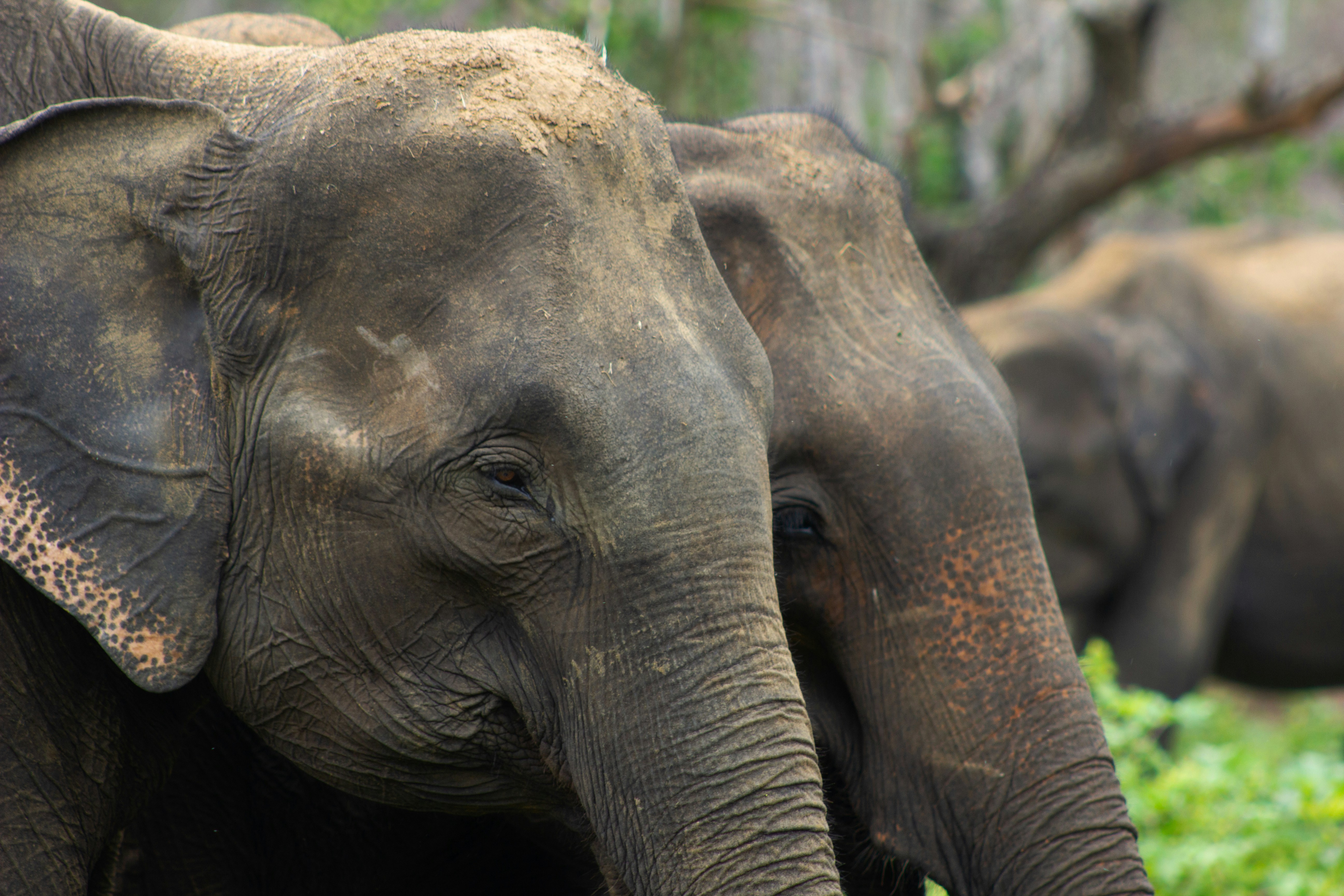 Photo by happy_sad_repeat