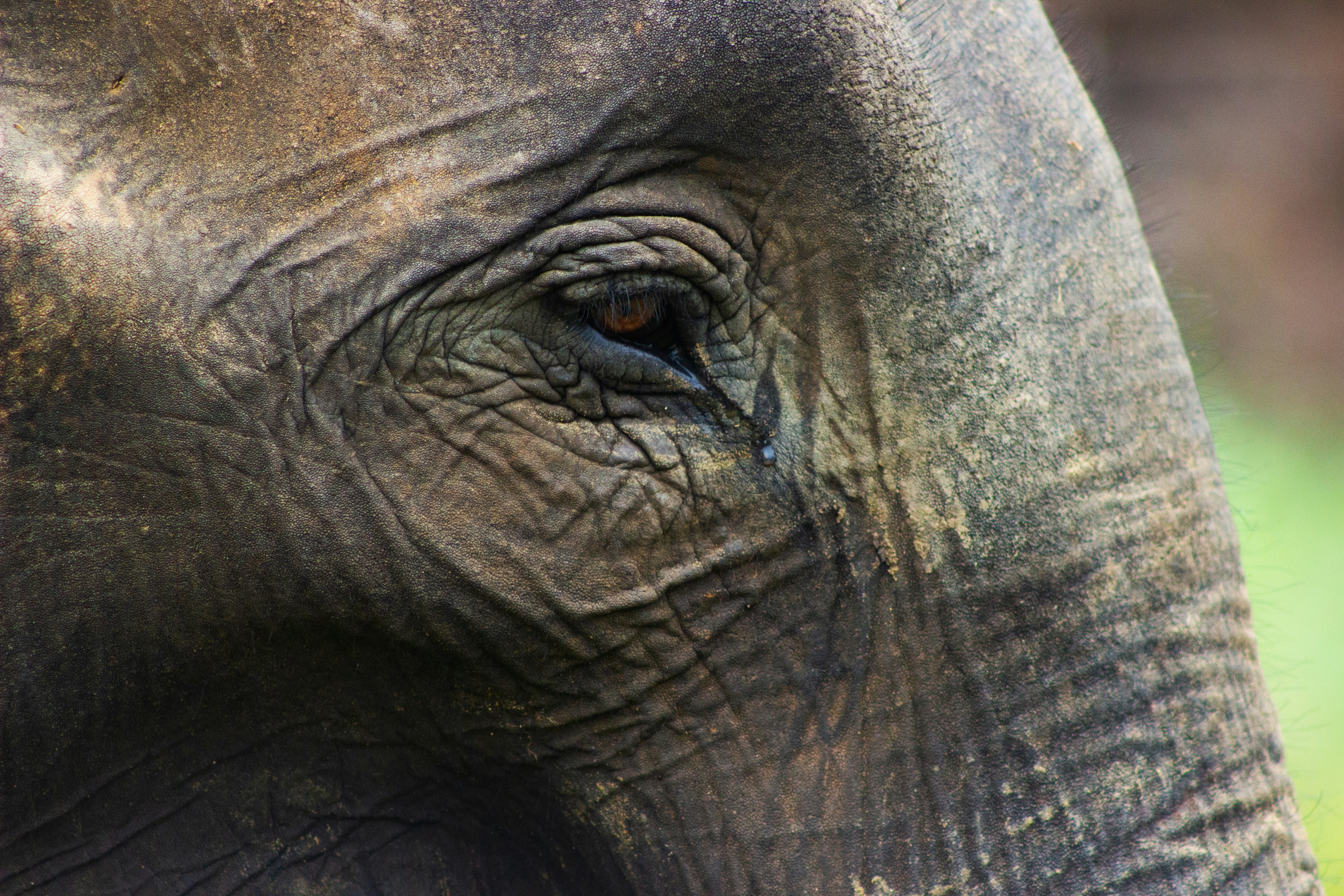 Photo by happy_sad_repeat