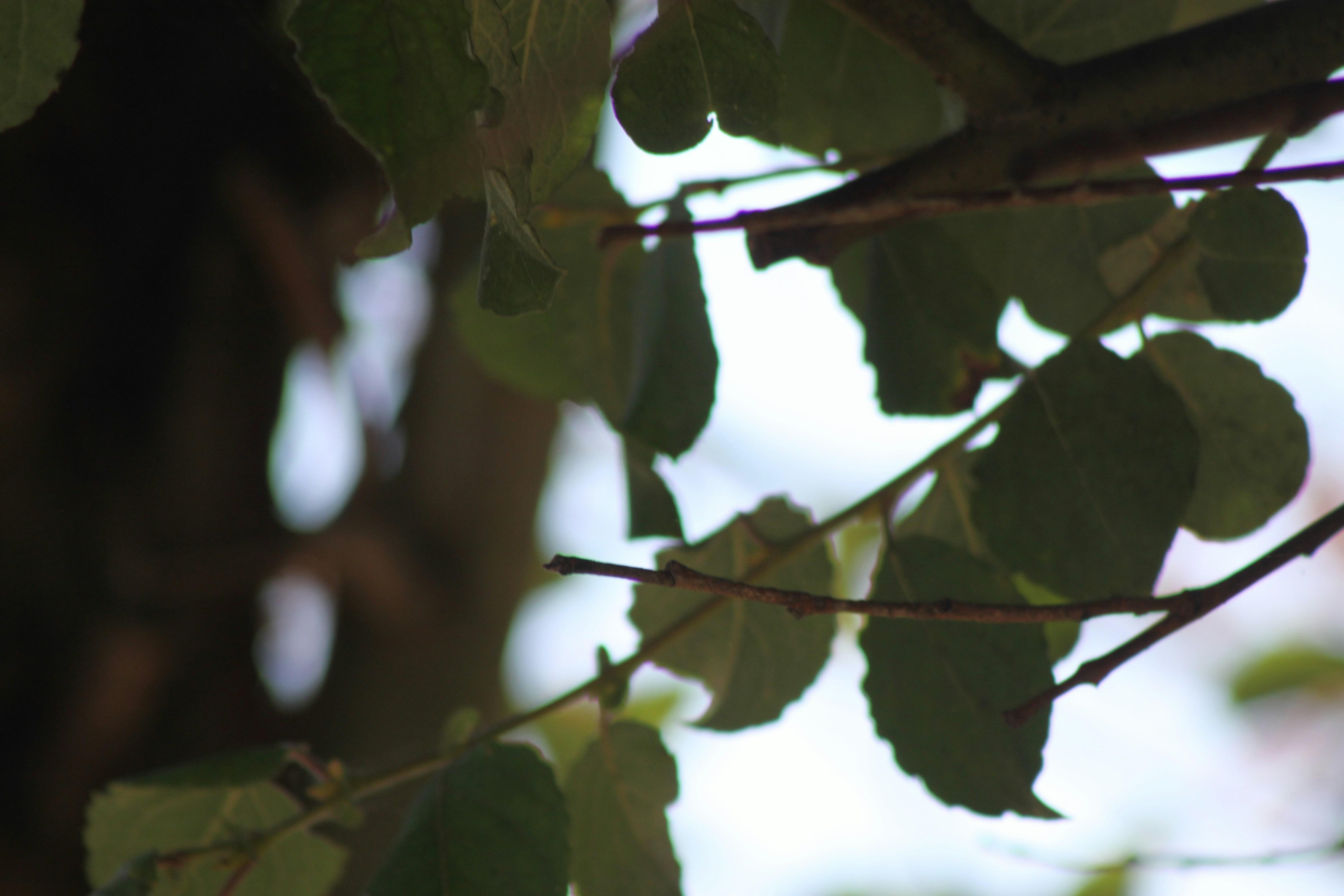 Photo by rubyphotography