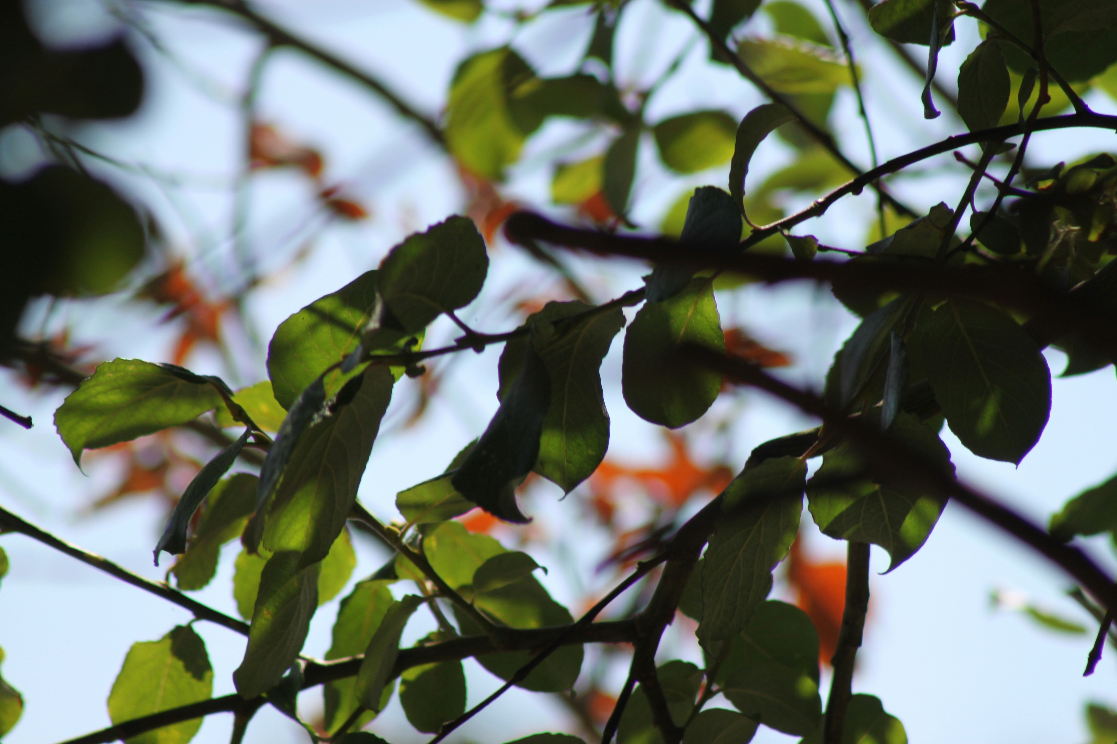 Photo by rubyphotography