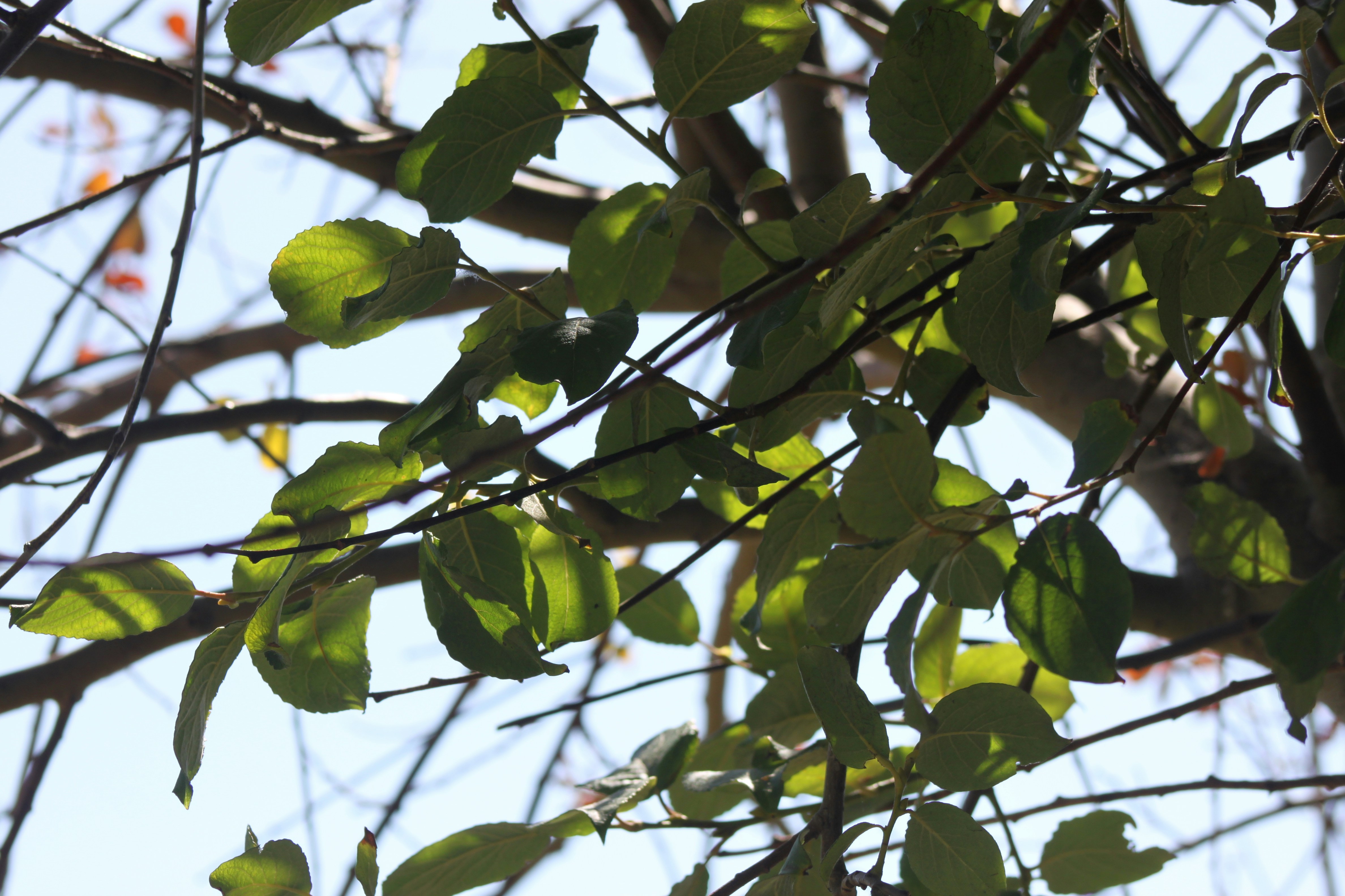 Photo by rubyphotography