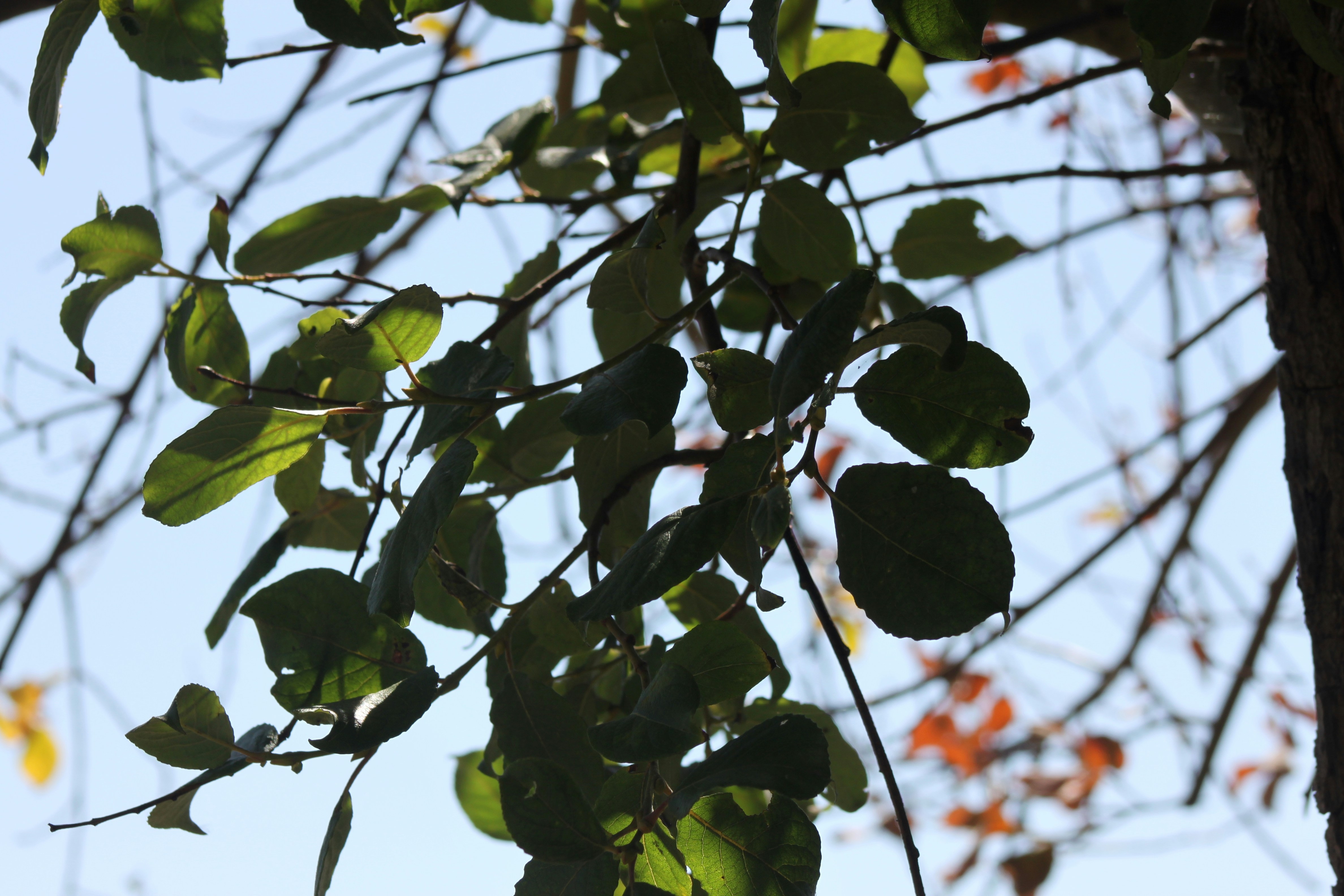 Photo by rubyphotography