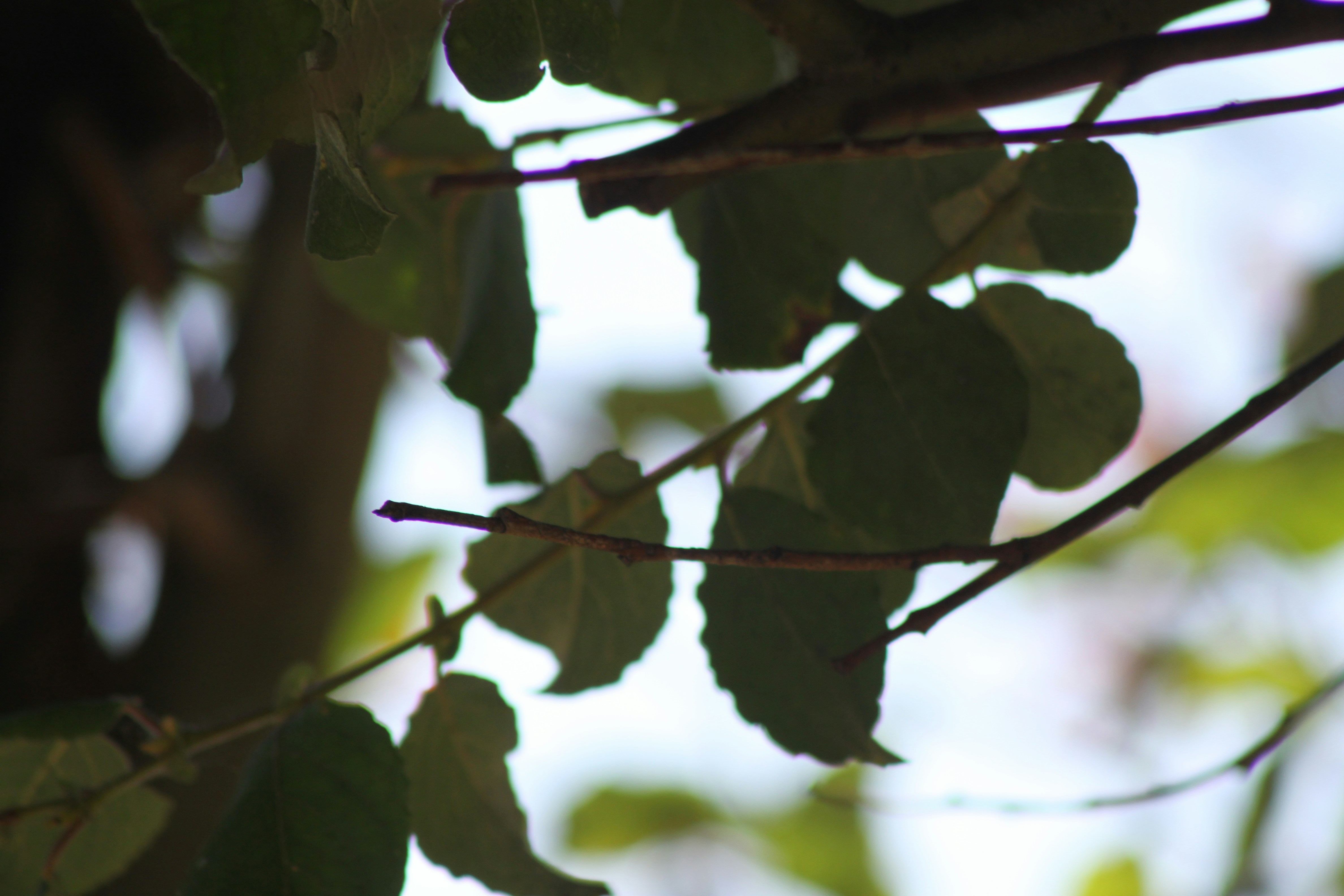 Photo by rubyphotography