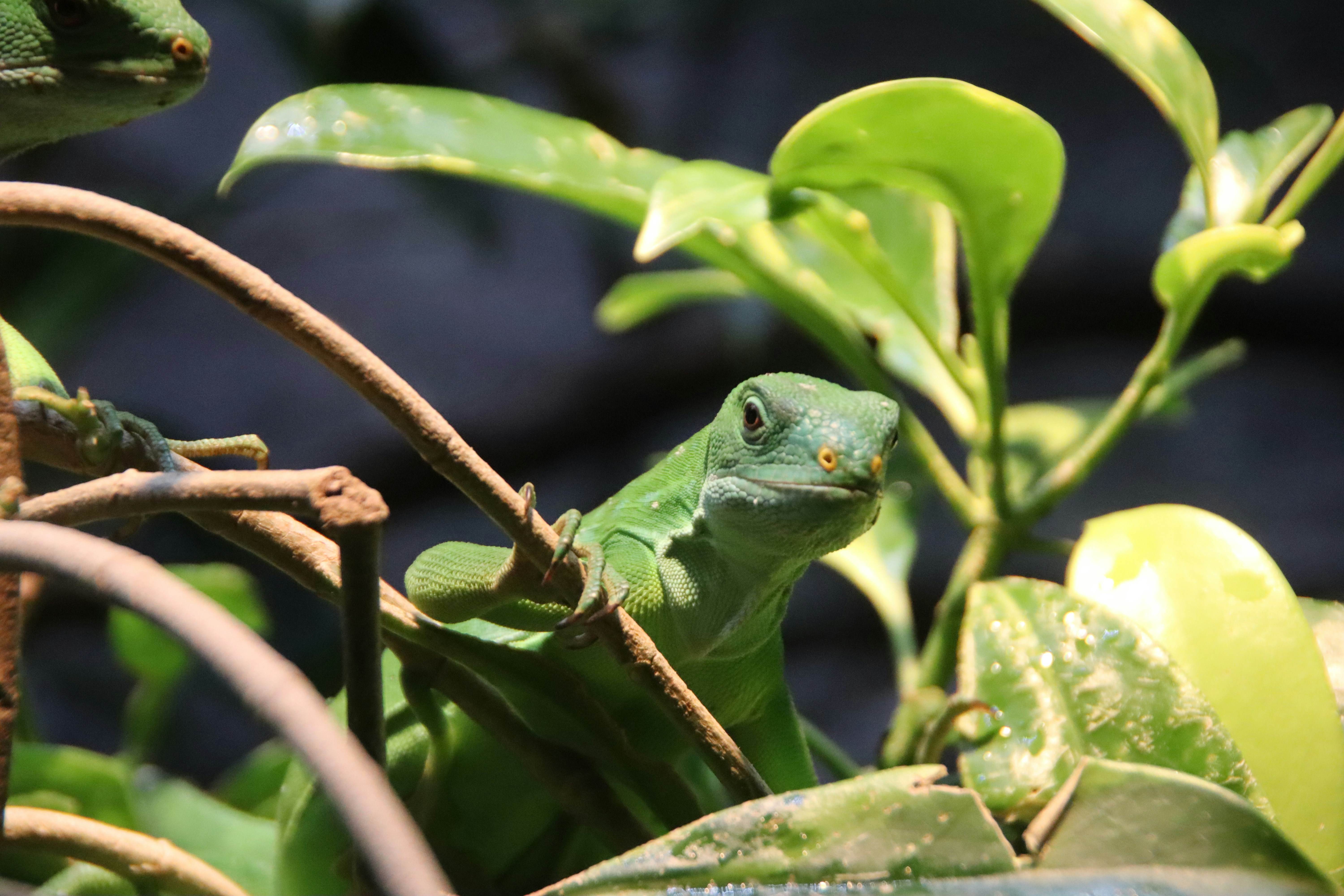 Photo by tommasoubezio