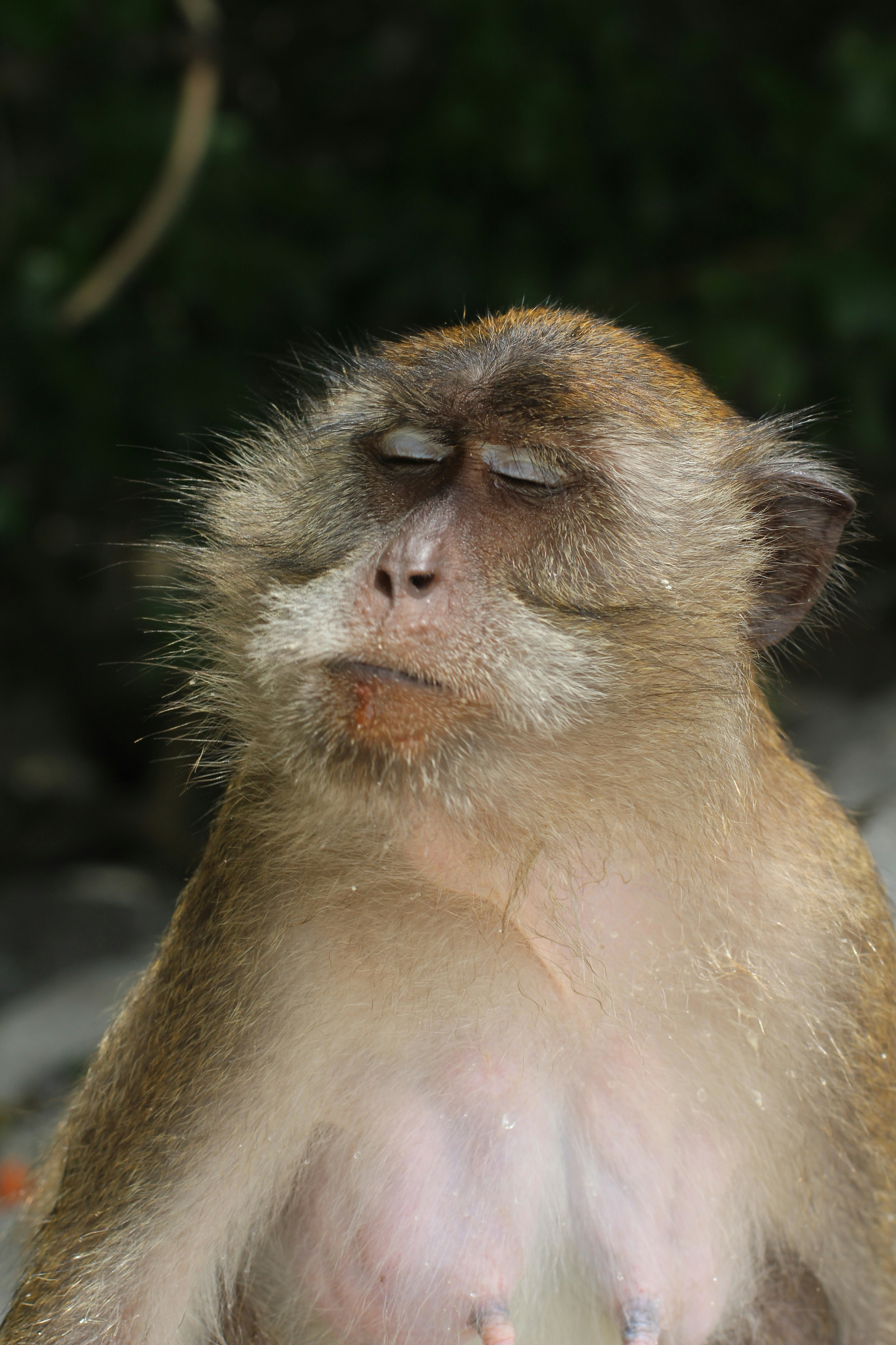 Photo by tommasoubezio