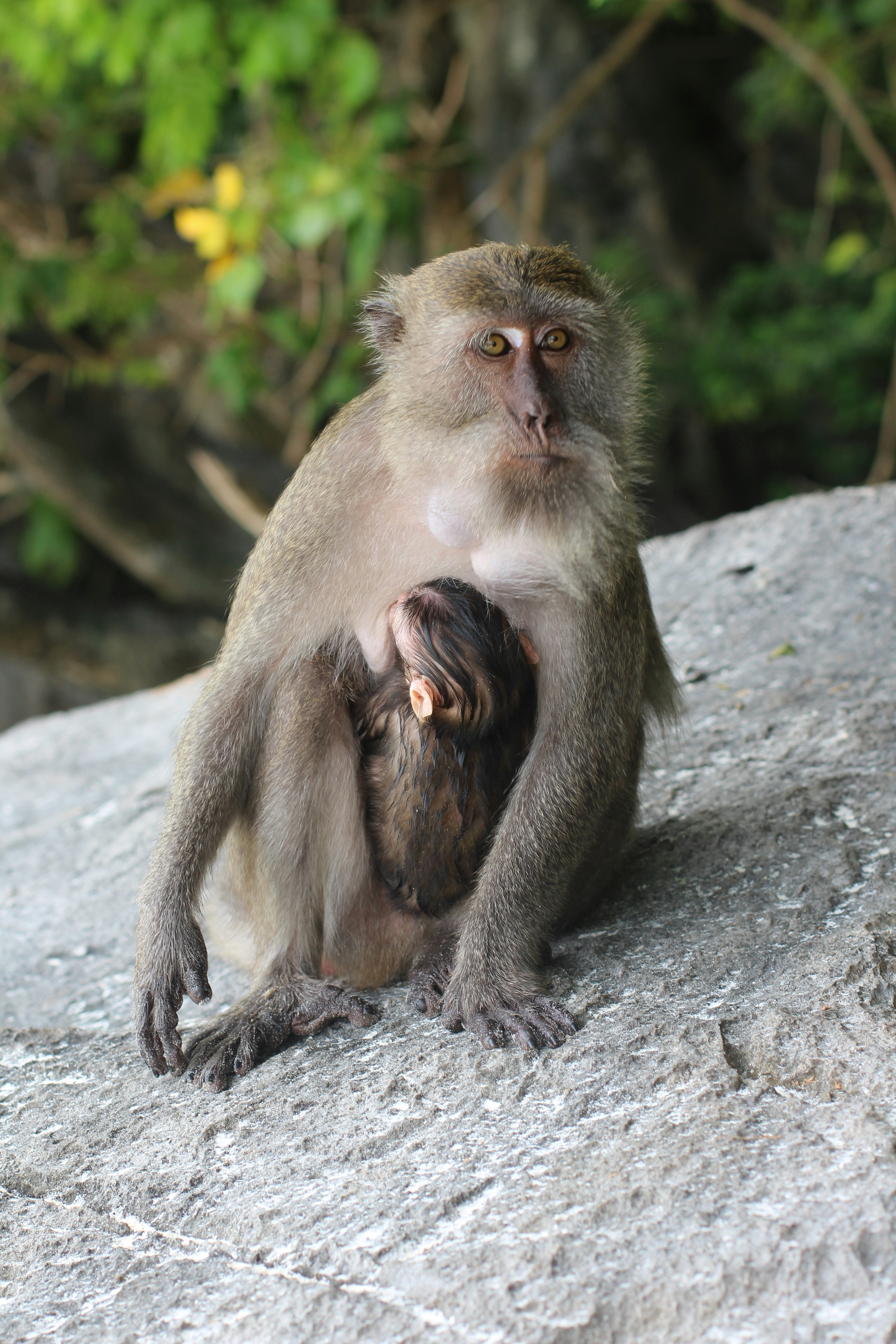 Photo by tommasoubezio