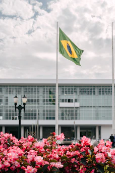 Serviços de Tecnologia e Consultoria em Gestão Empresarial em Brasília DF
