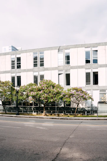 Commercial building exterior after professional window cleaning and pressure washed sidewalk carpark