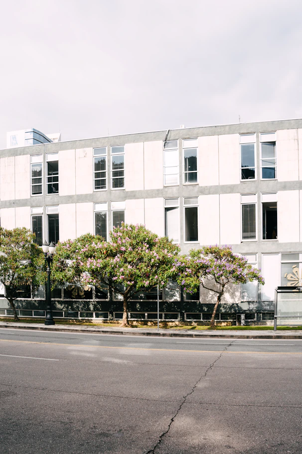 Commercial building exterior after professional window cleaning and pressure washed sidewalk carpark
