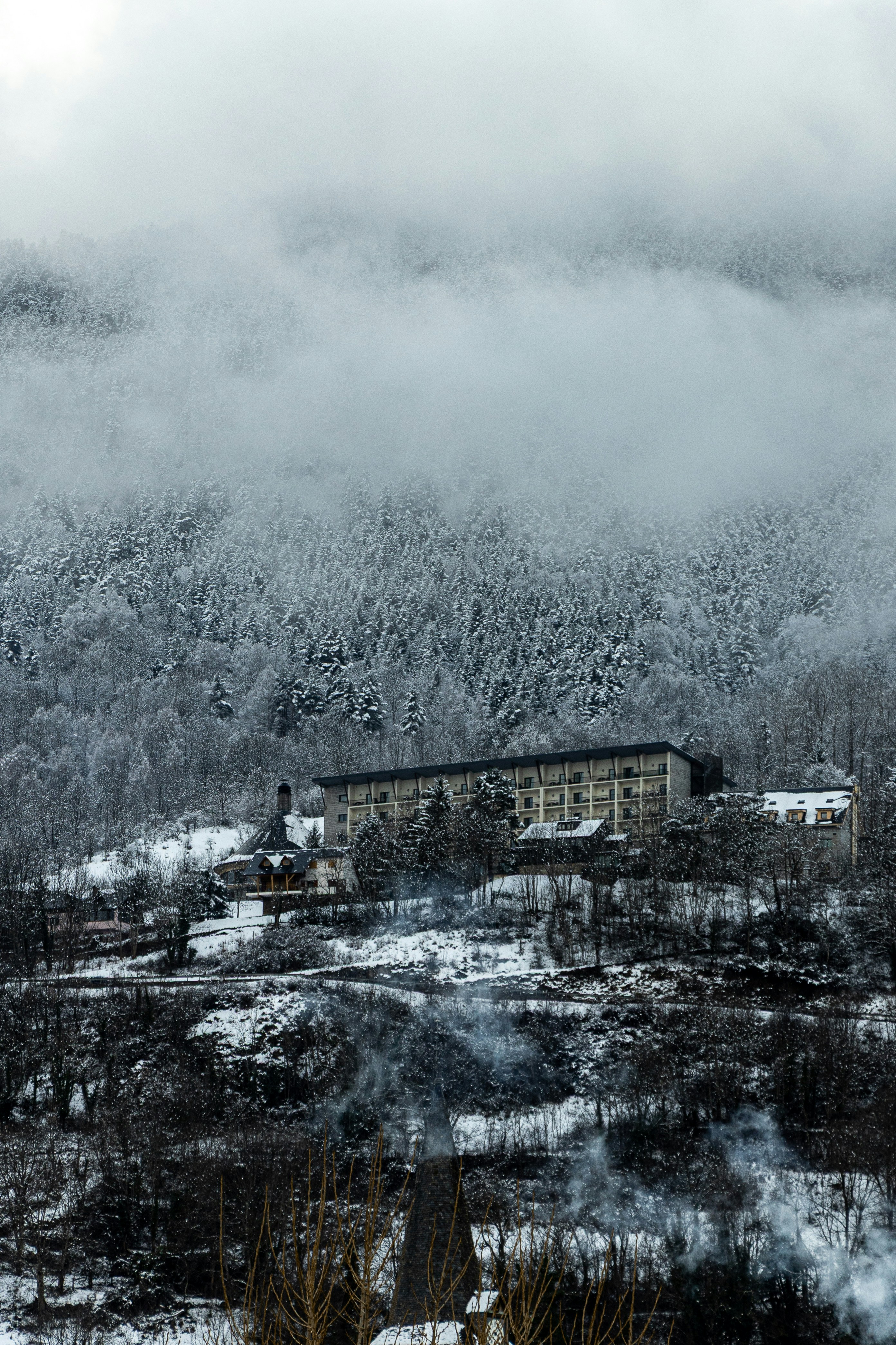 Photo by mariacorralesvar