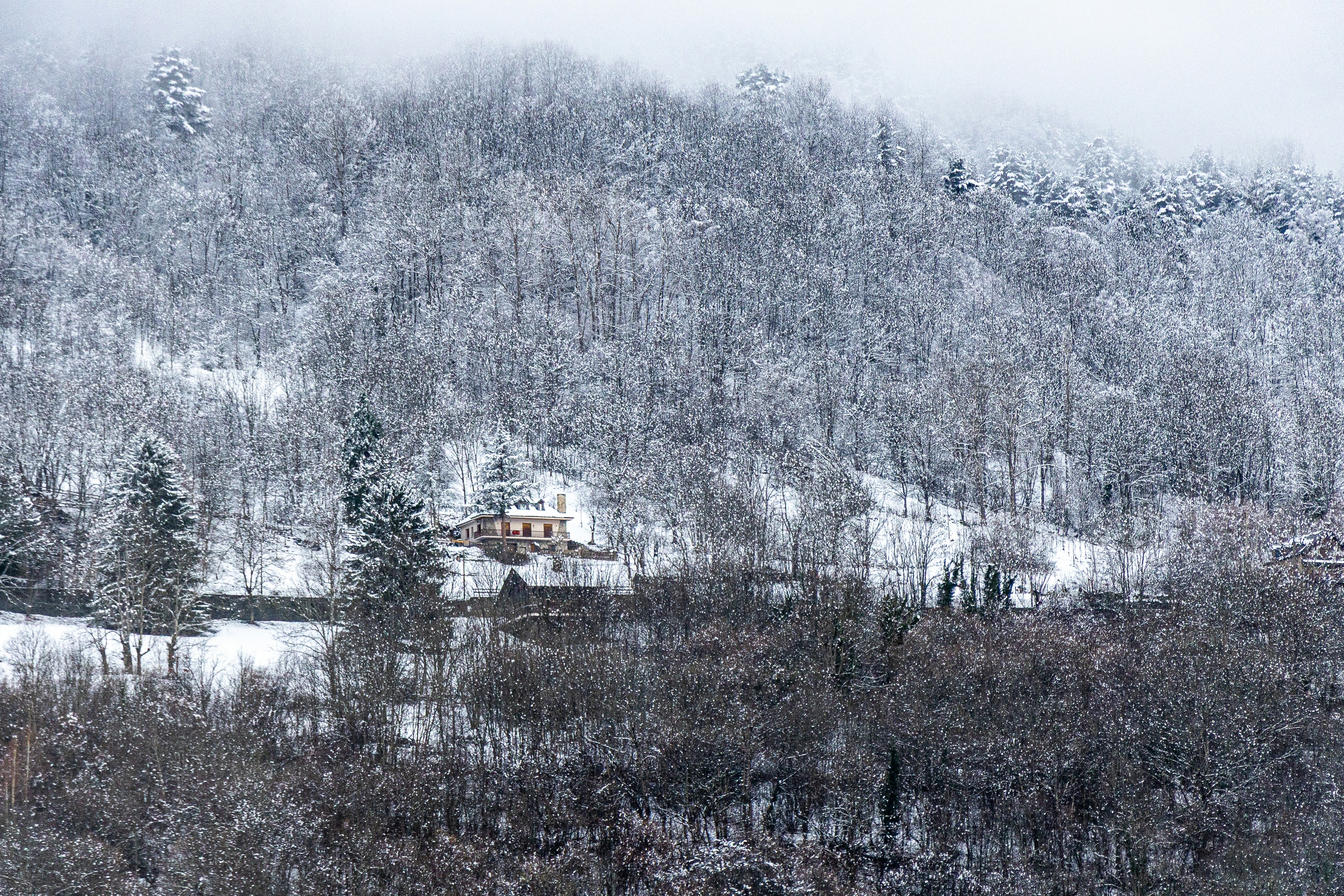 Photo by mariacorralesvar