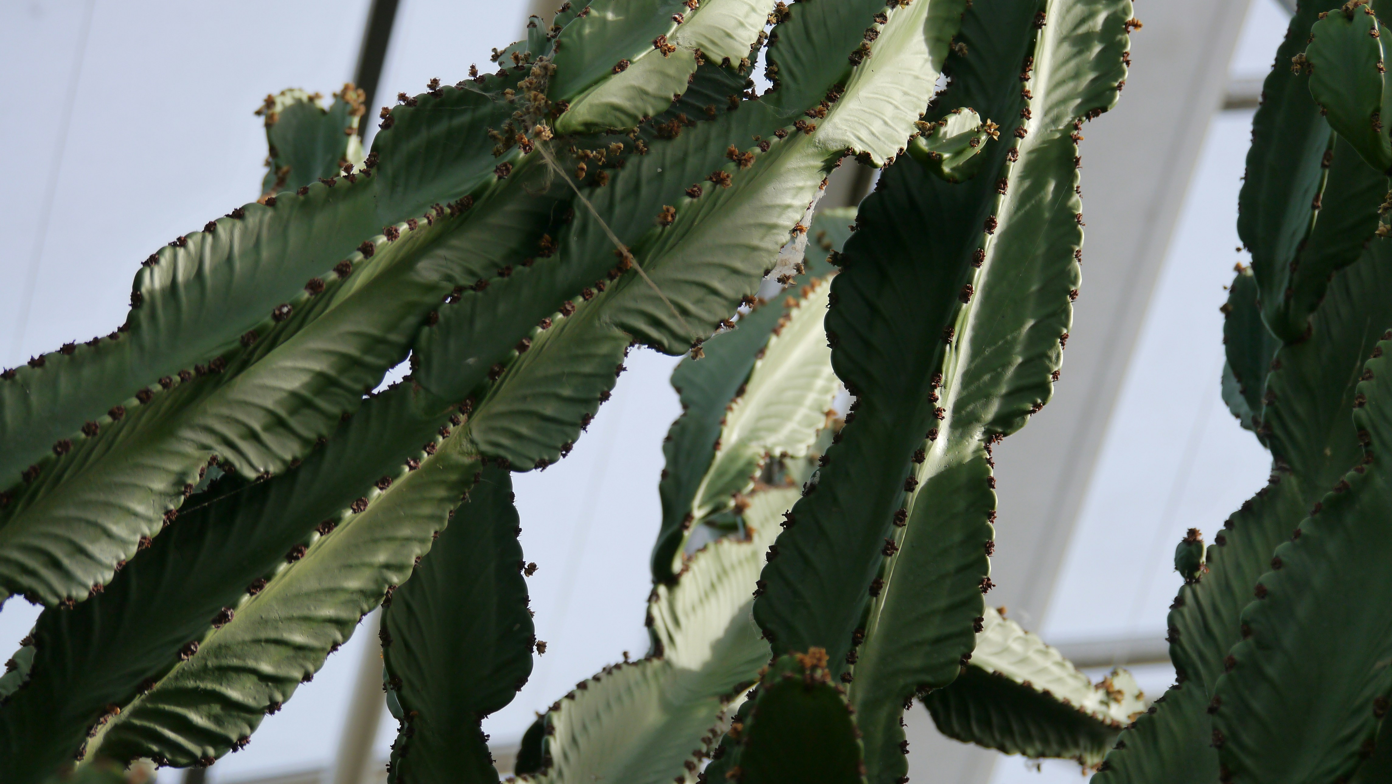 Low-Maintenance Exterior Home Ideas That Boost Curb Appeal