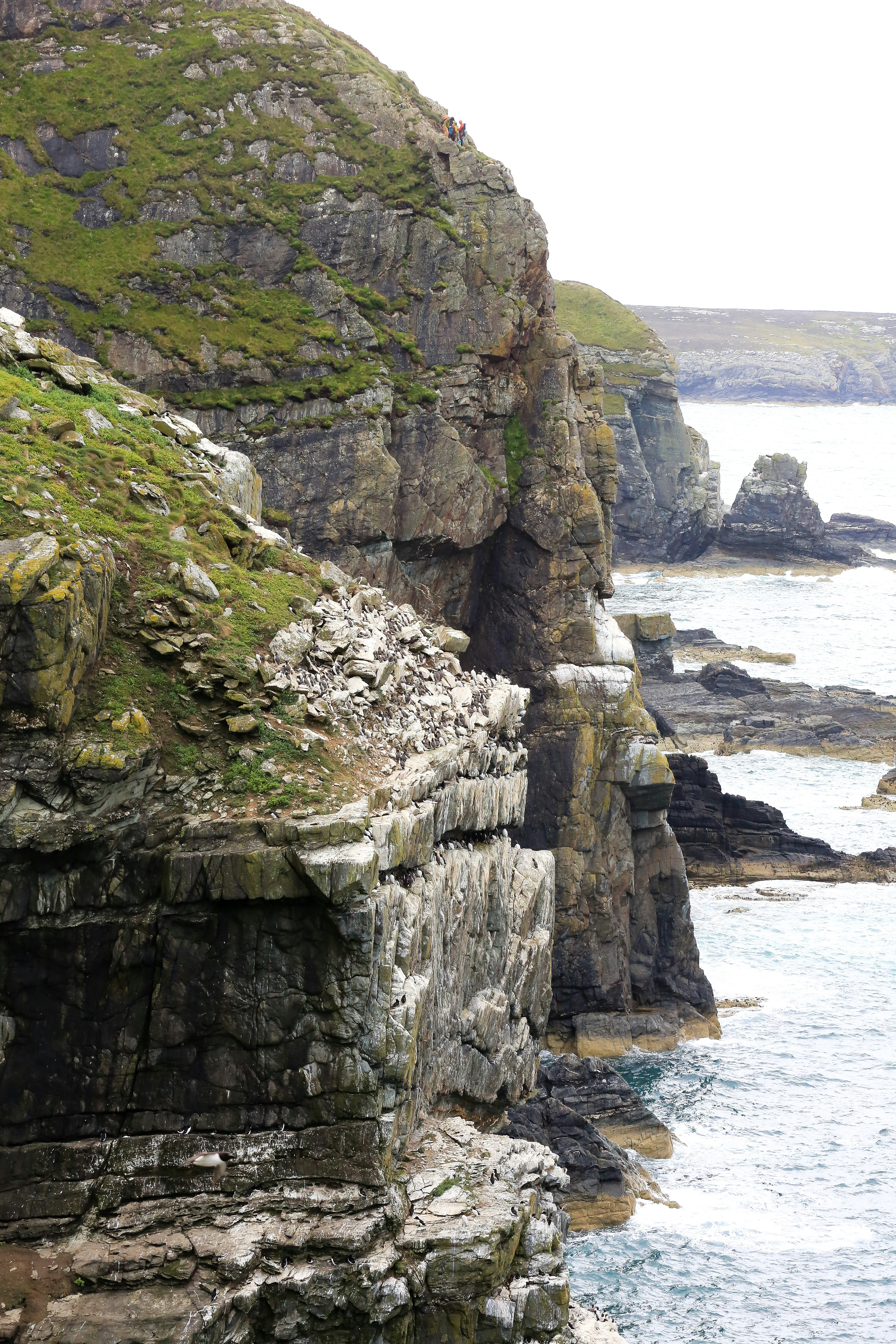 Photo by tina_b_williamsstudio