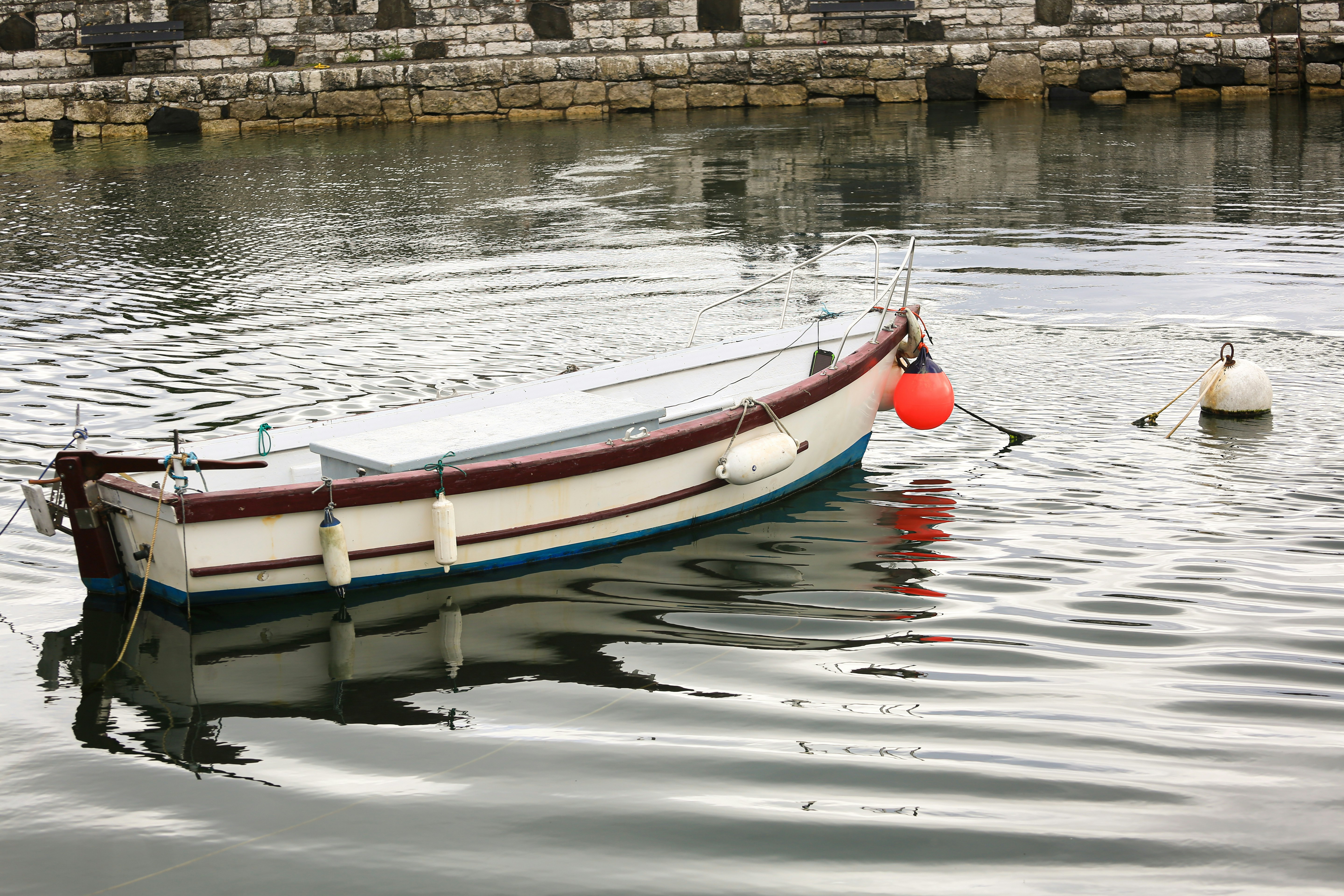 Photo by tina_b_williamsstudio