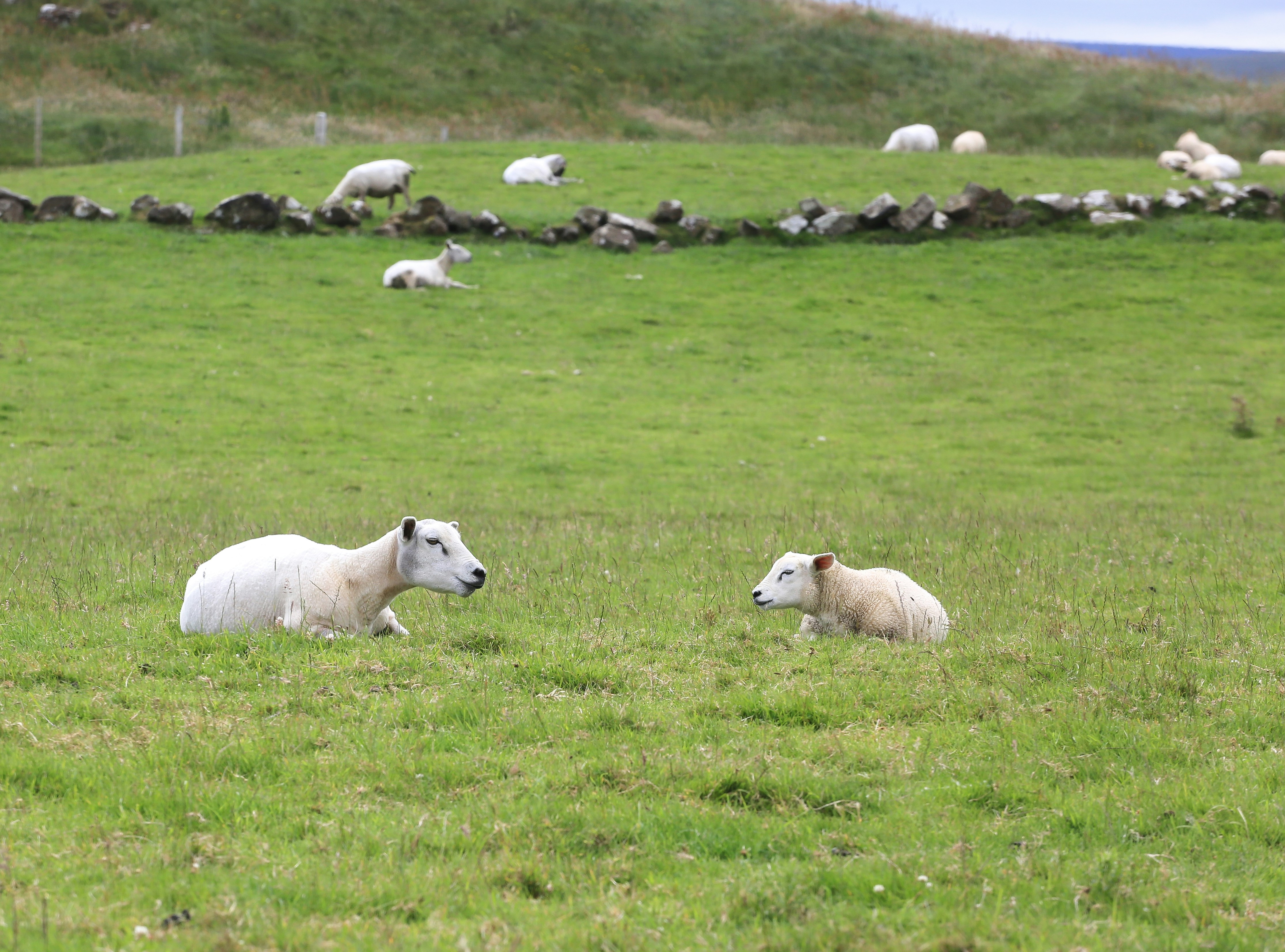 Photo by tina_b_williamsstudio