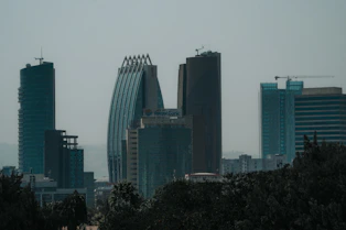 Modern skyscrapers rise above city trees on a hazy day.