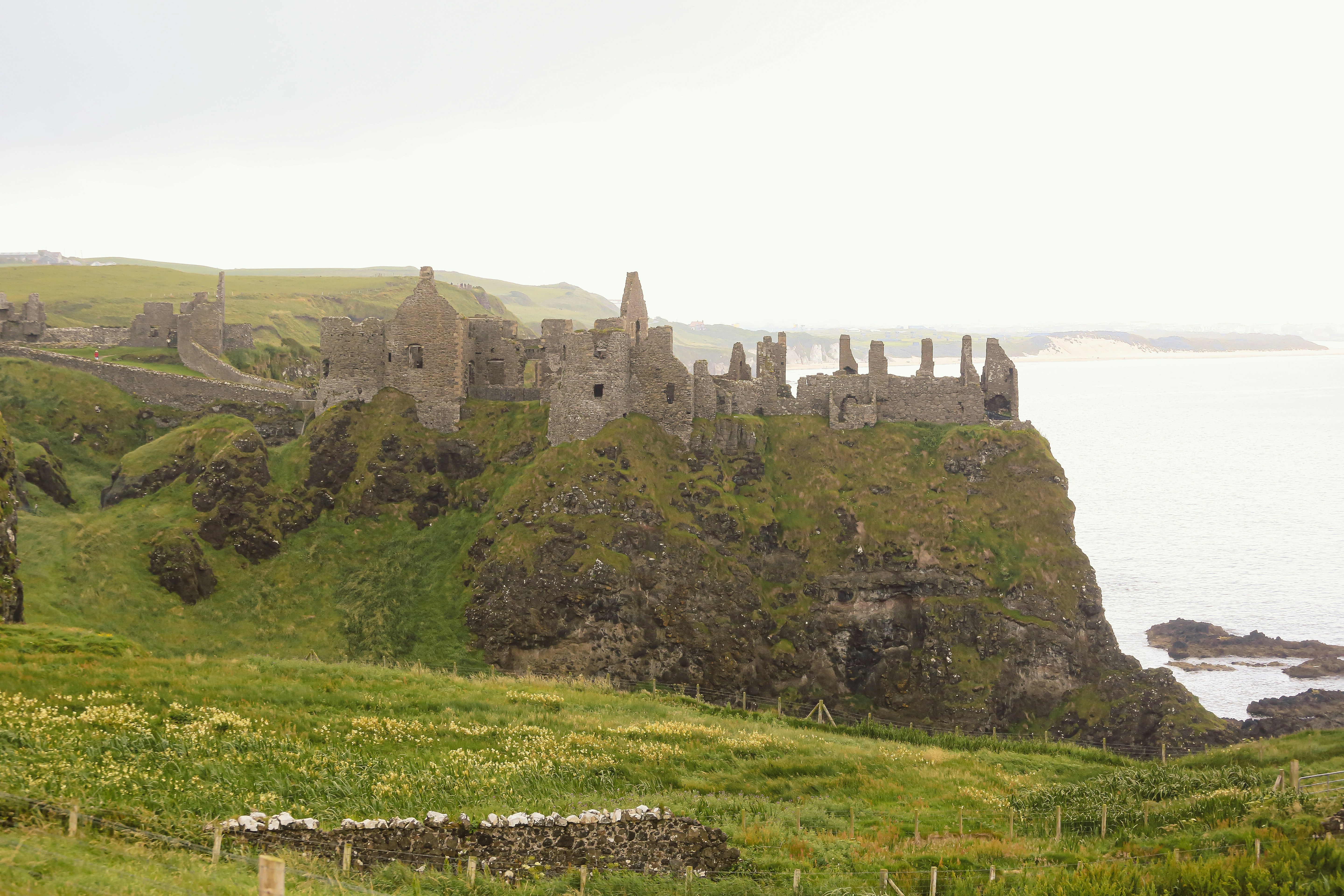 Photo by tina_b_williamsstudio