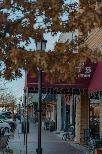 Street view of shops with awnings and trees