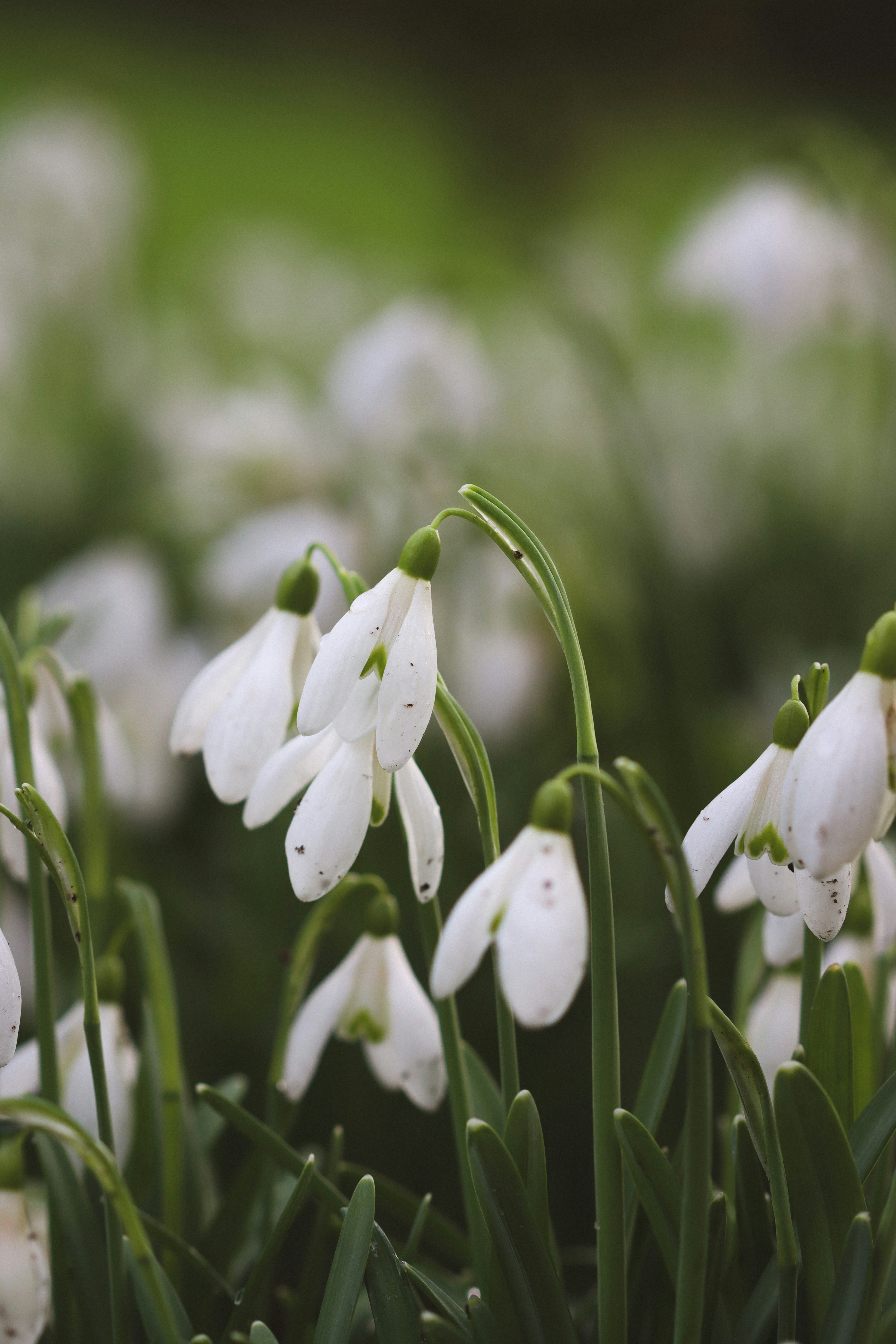 Photo by sarahhongerloot