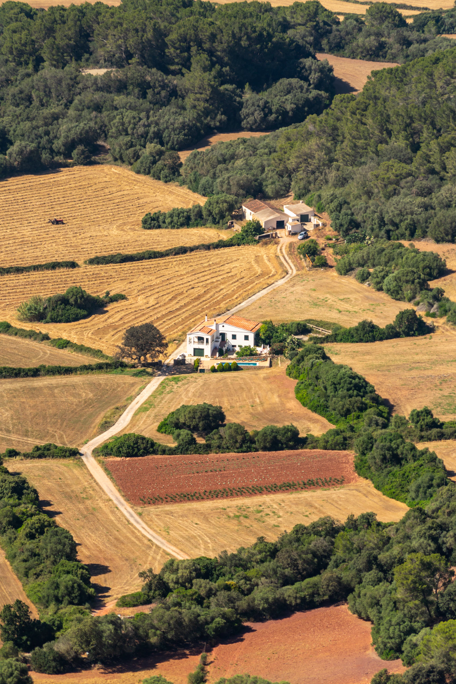 La suite del almendro