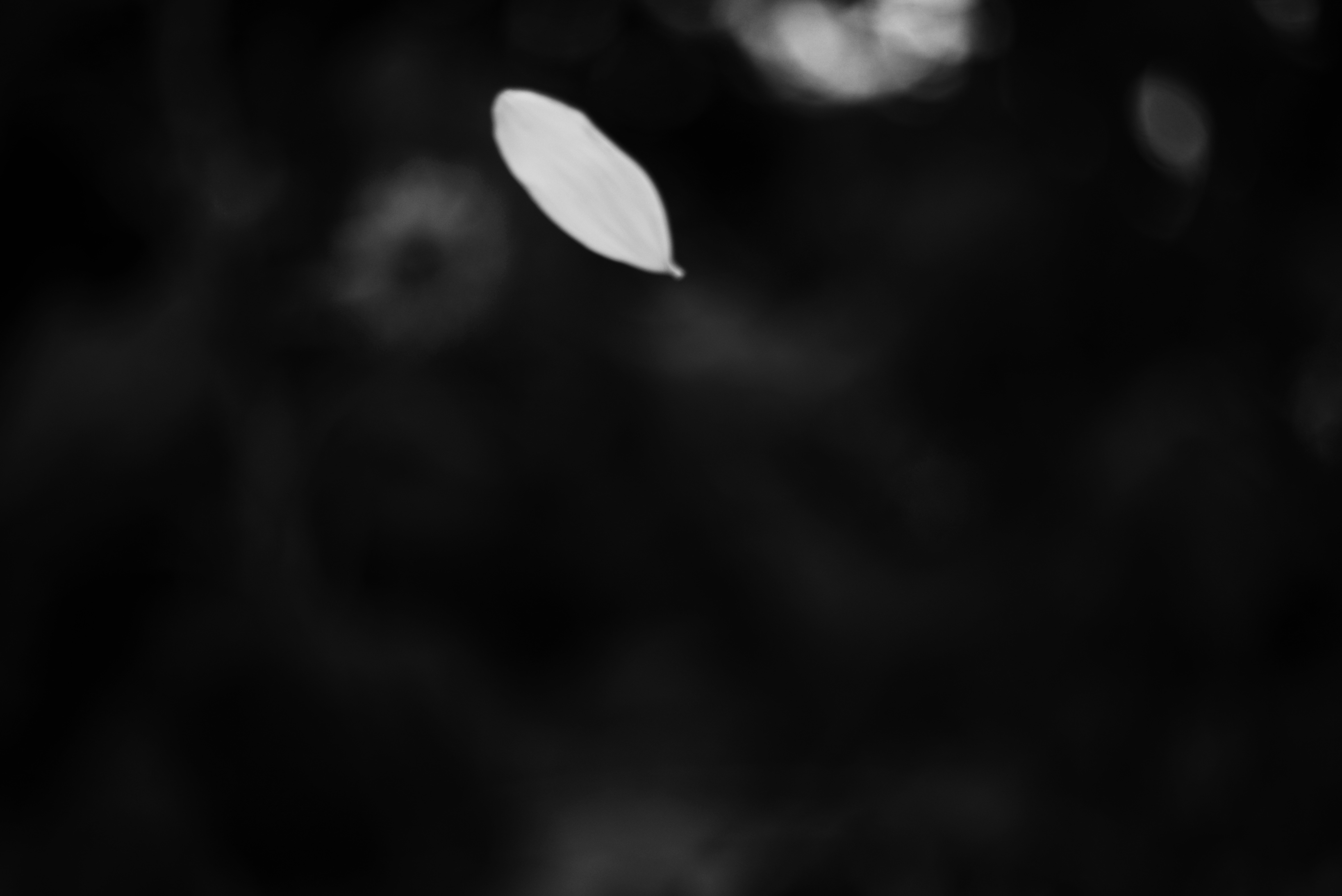 Photo by cherstve_pechivo