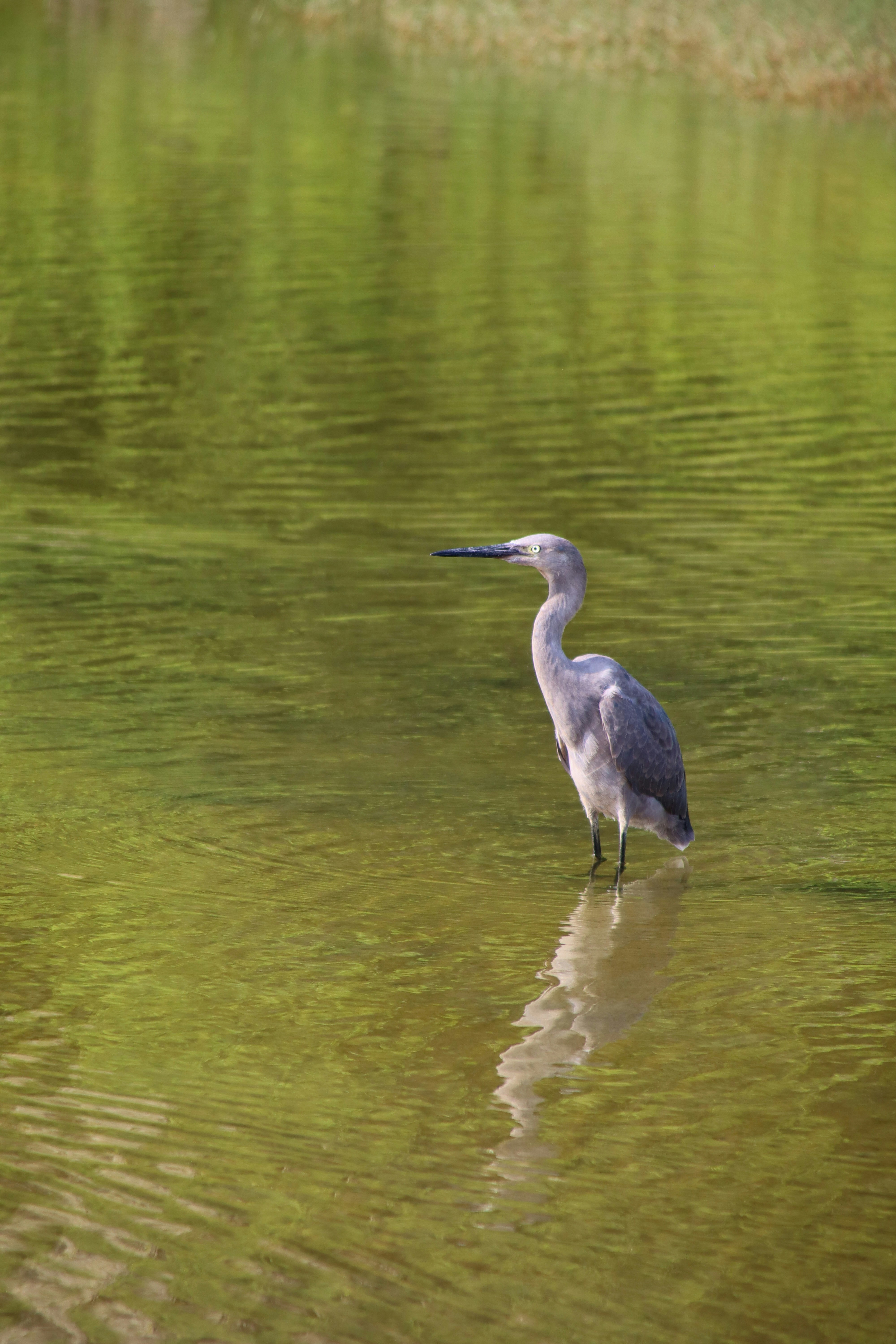 Photo by victoria_zv14