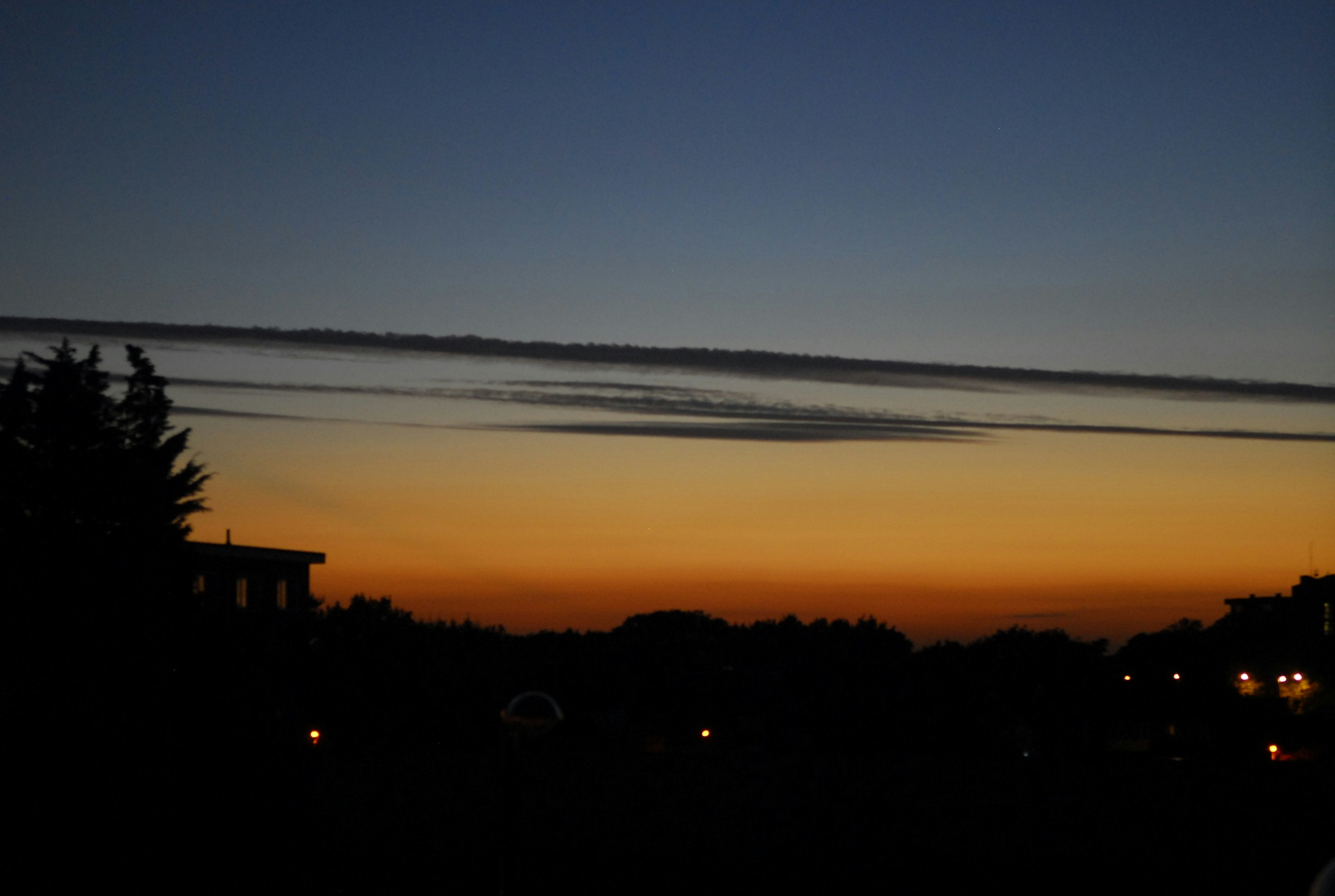 Photo by suziepindar