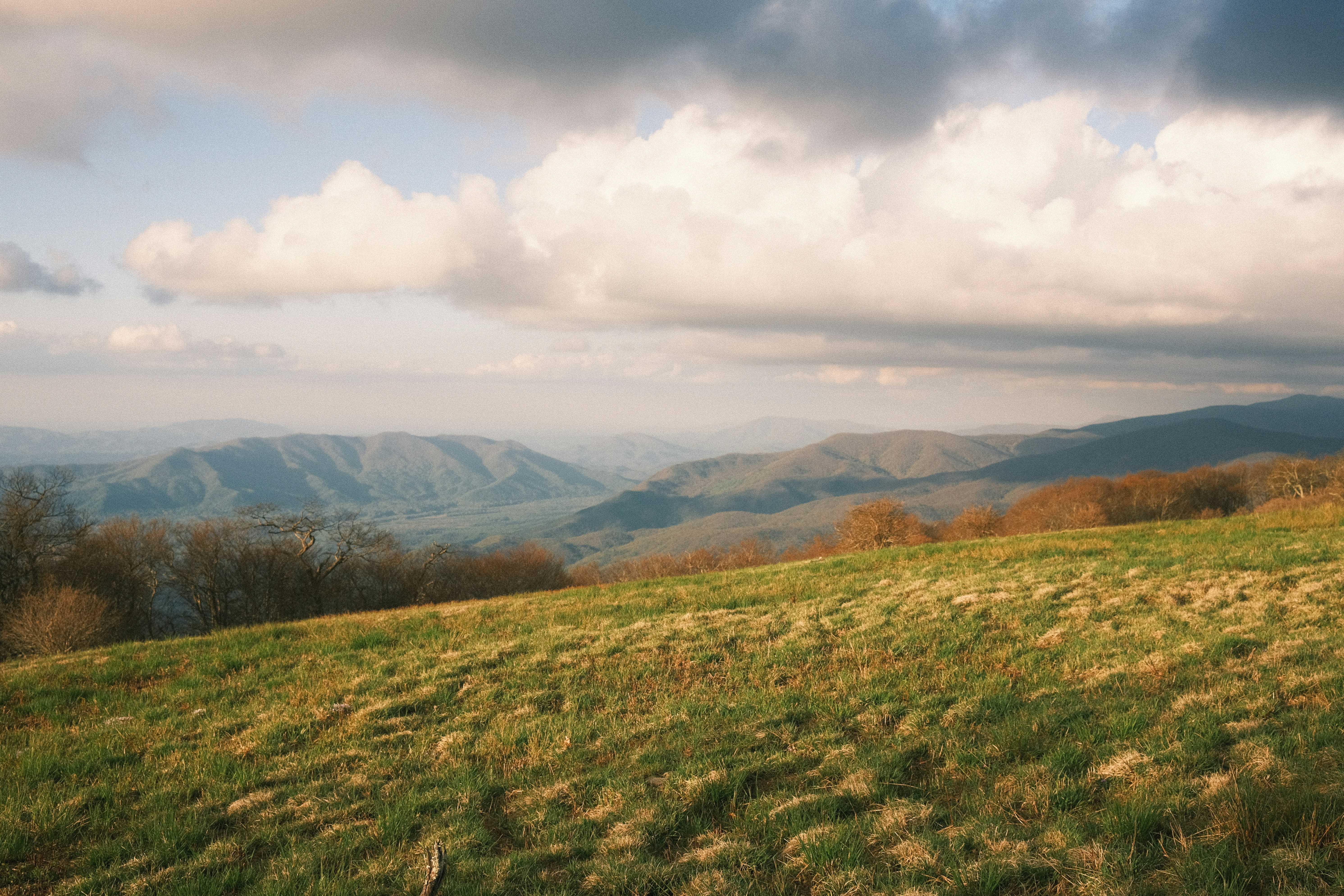 Photo by theaaronsimpson