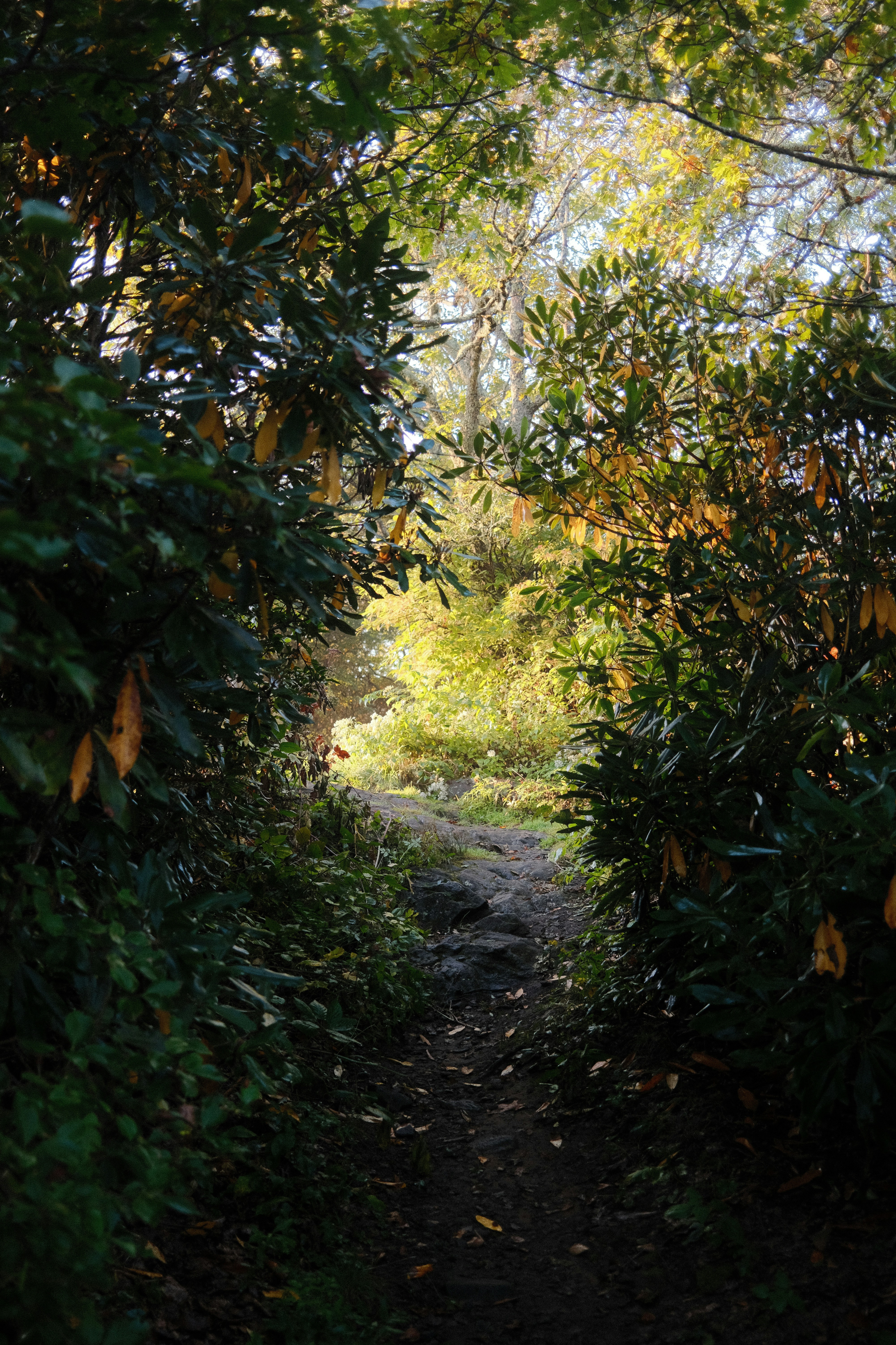 Photo by theaaronsimpson