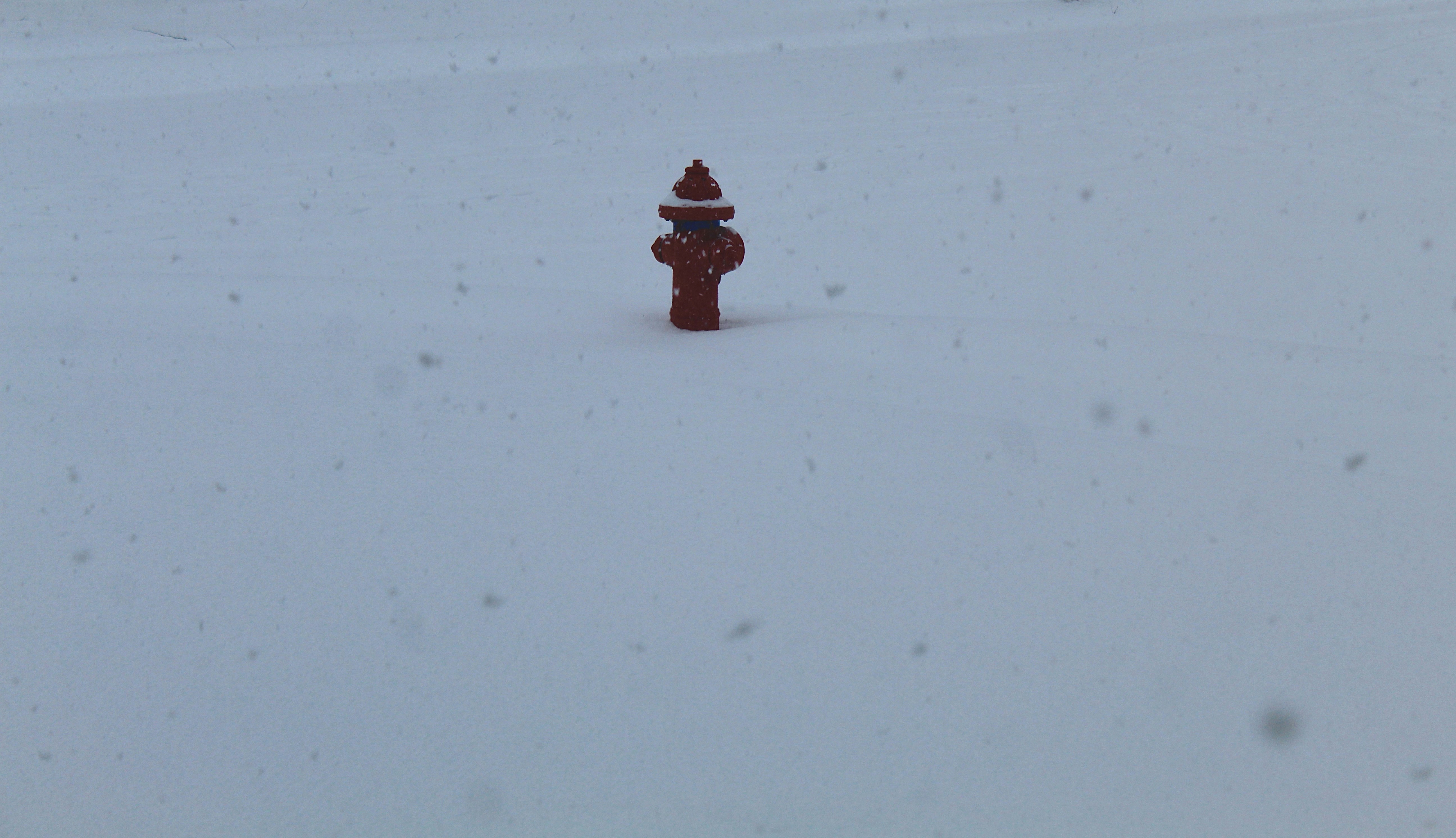 A red fire hydrant stands in the snow.
