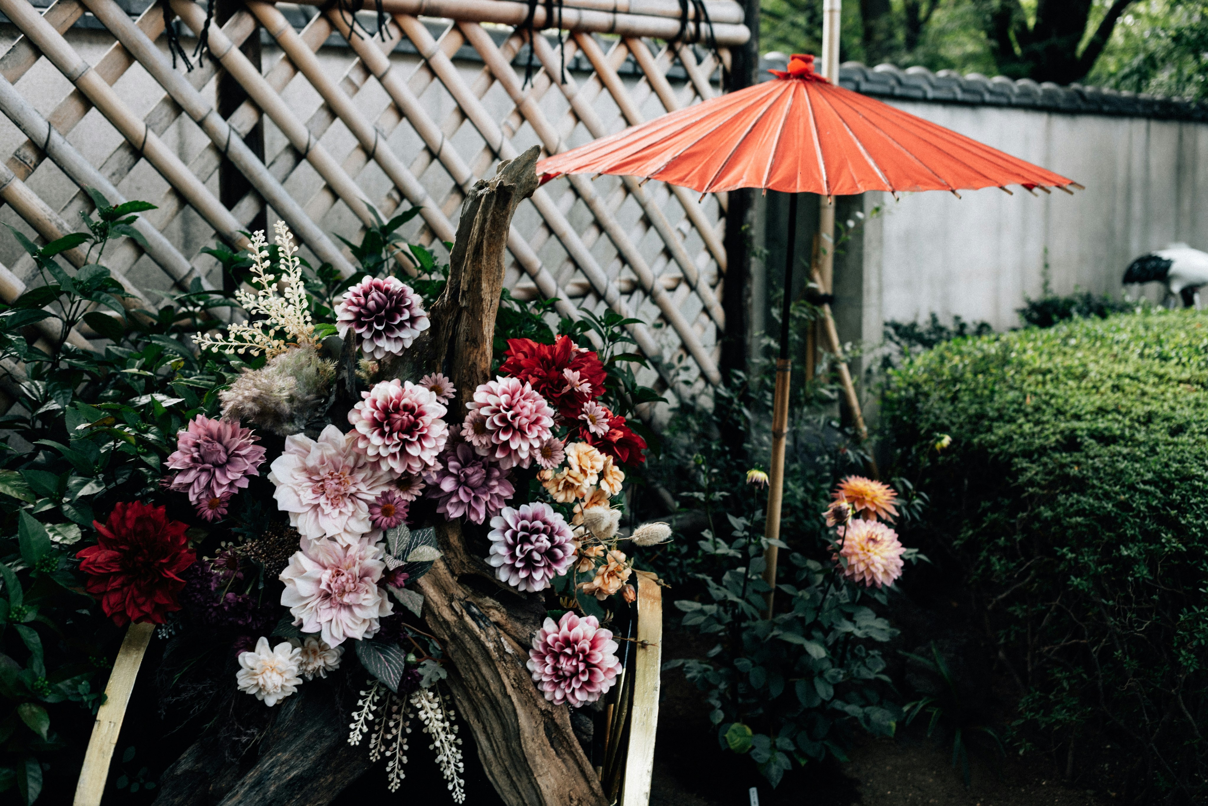 Photo by tsuyoshikozu