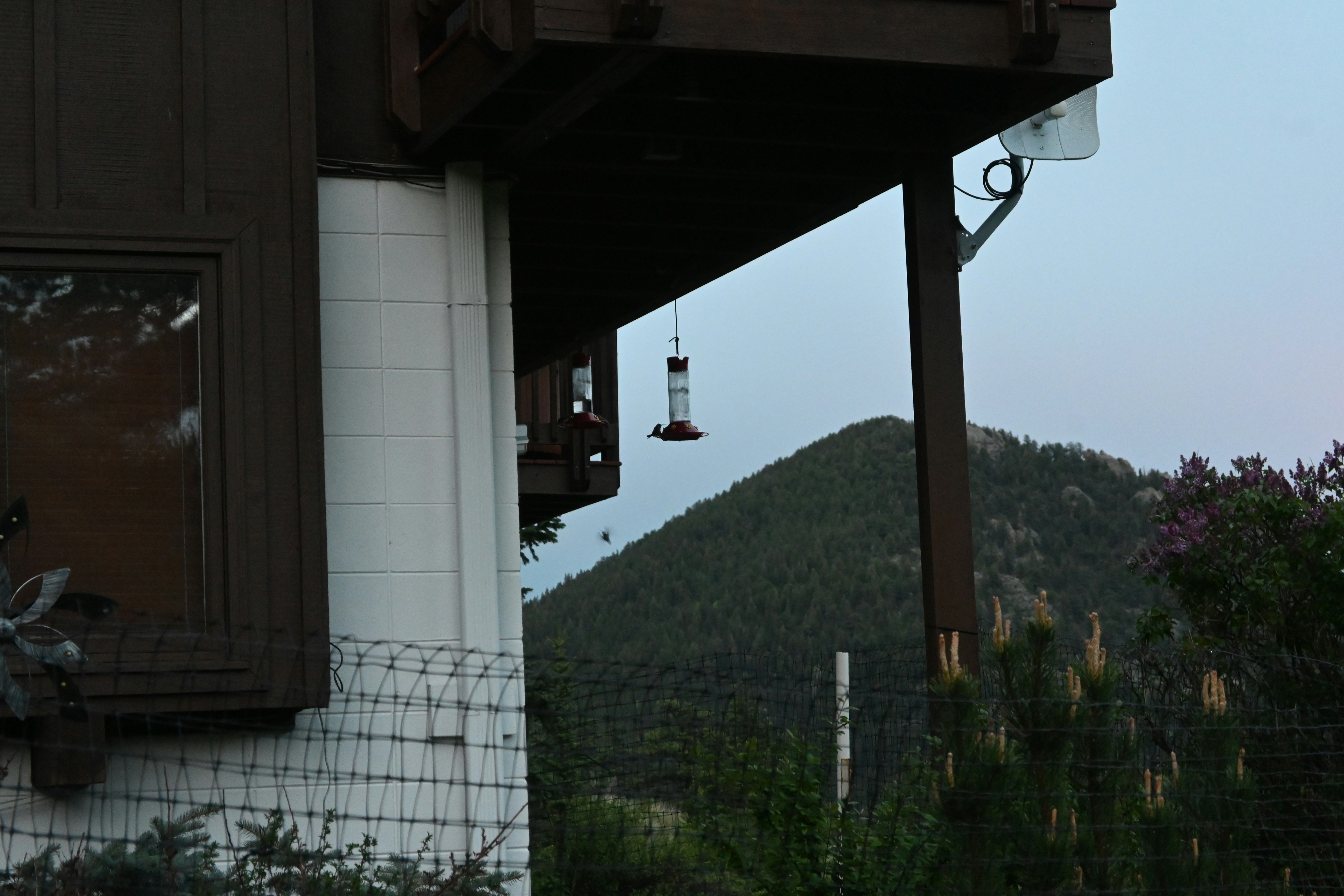 Build Your Career with PMI Estes Park