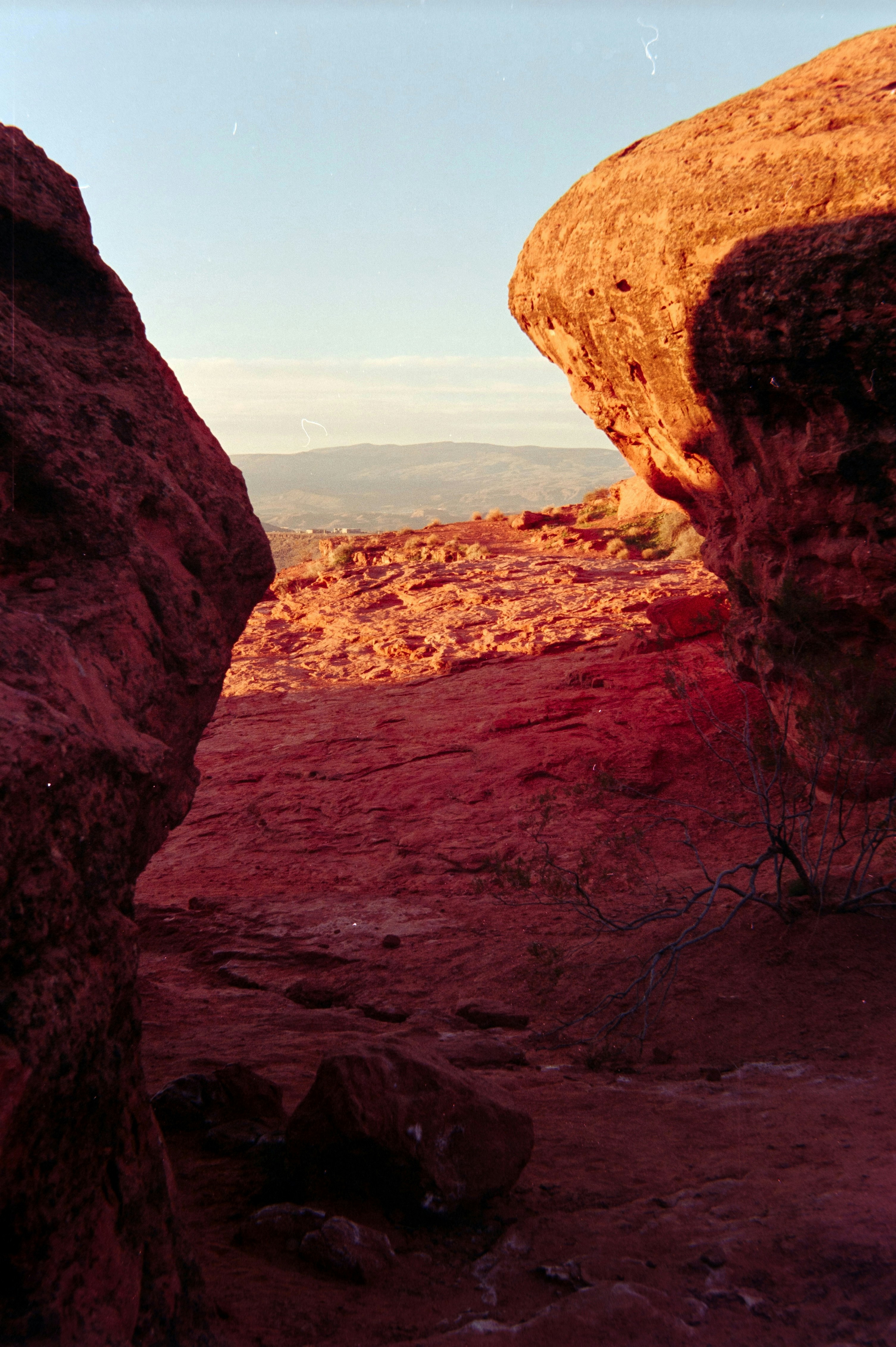 Photo by theguccer2100