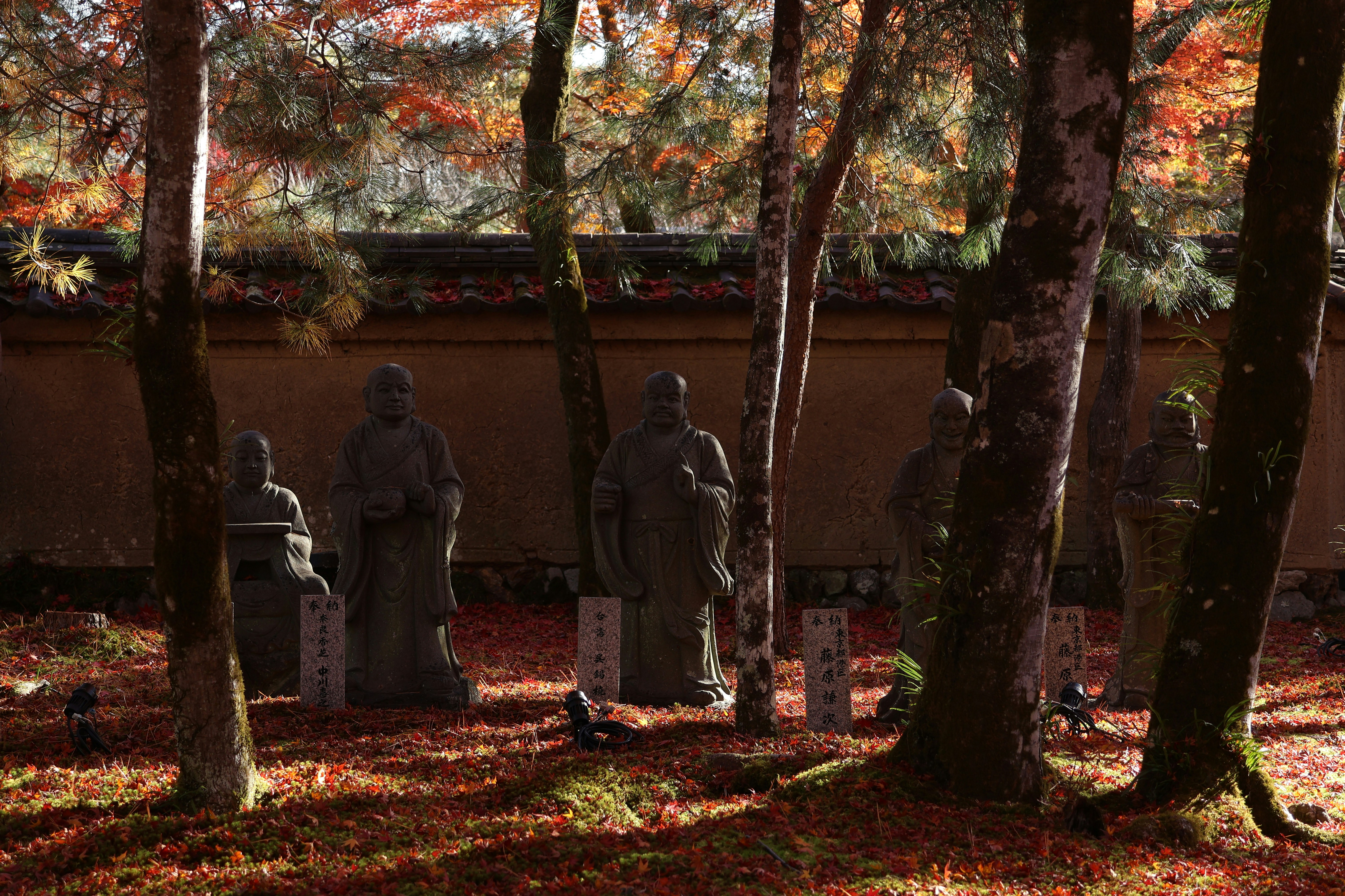 Tenryu-ji Temple - 교토 1