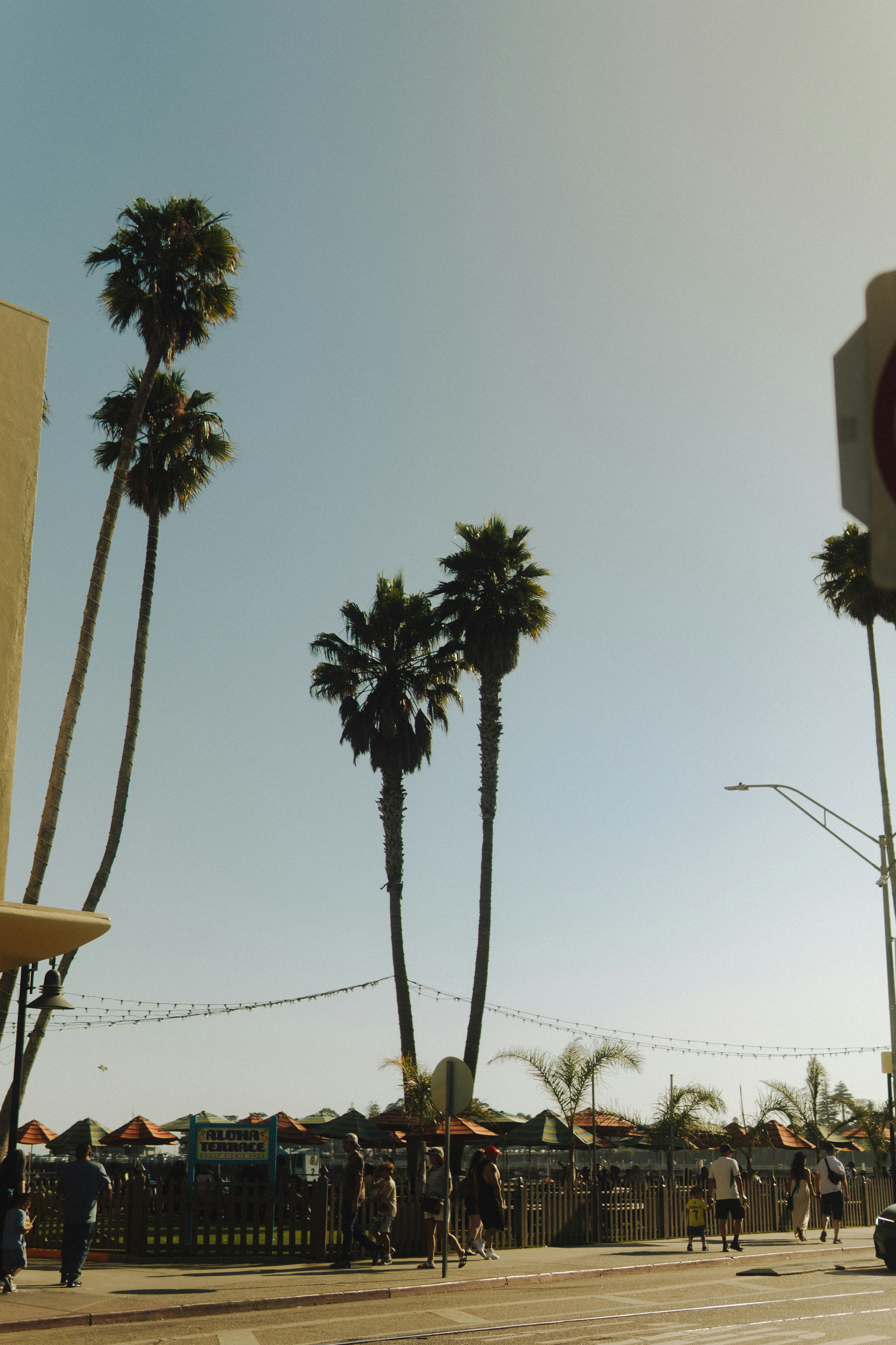 Photo by daniel_akserlod