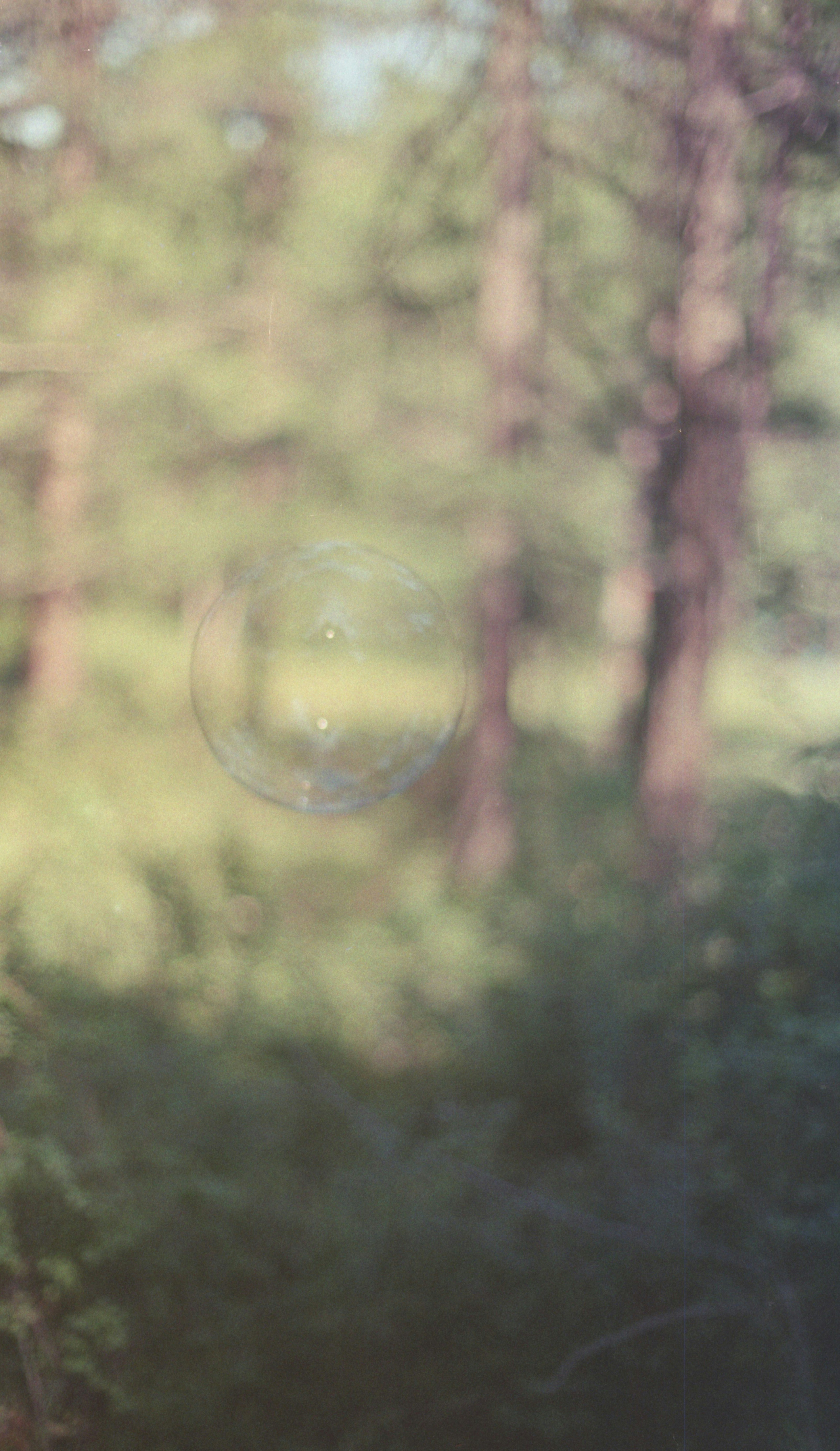 A single bubble floats in a blurry forest.