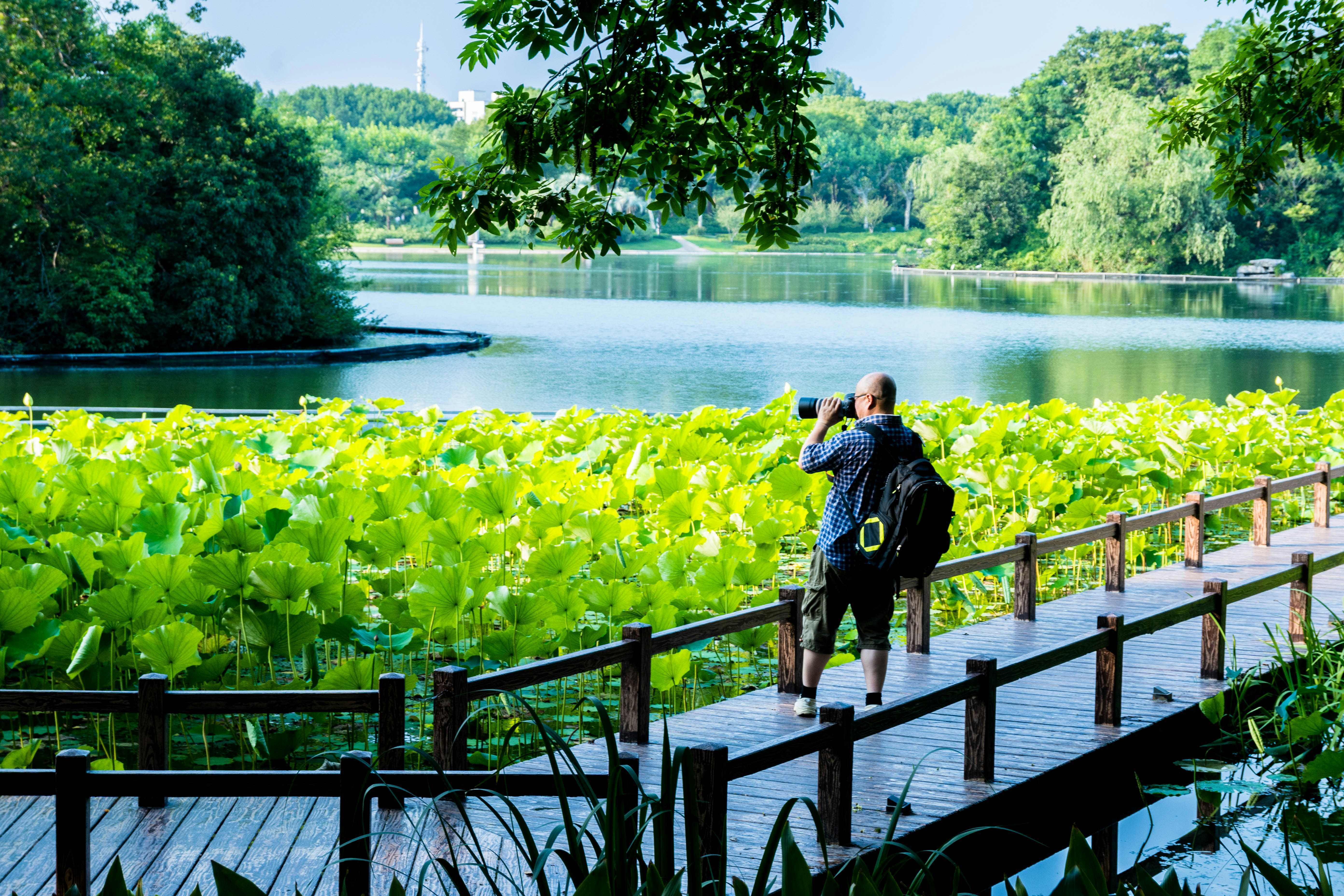 Photographer on wooden bridge taking picture of lake 풍경 사진