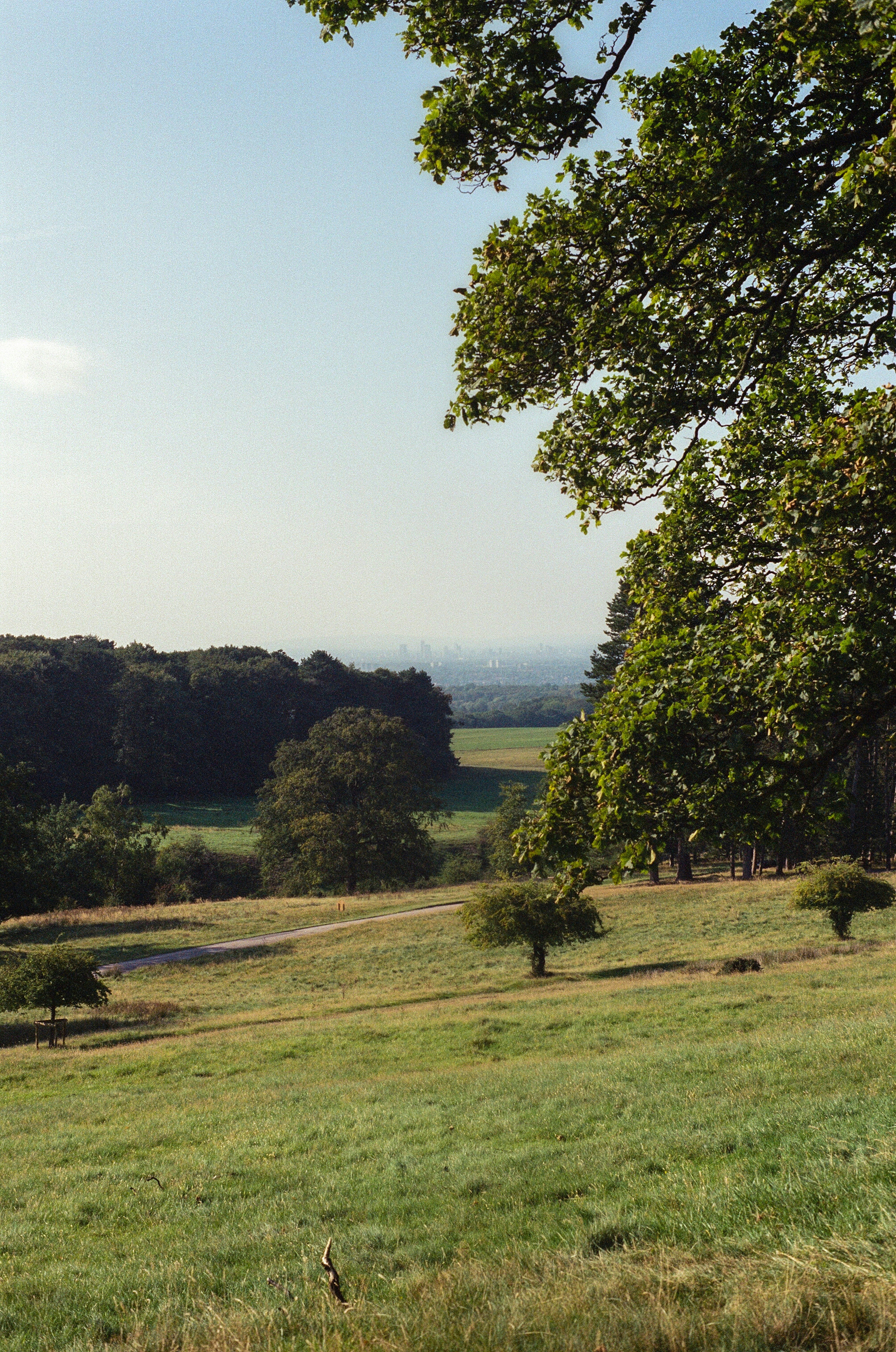 Photo by nadzeya1104