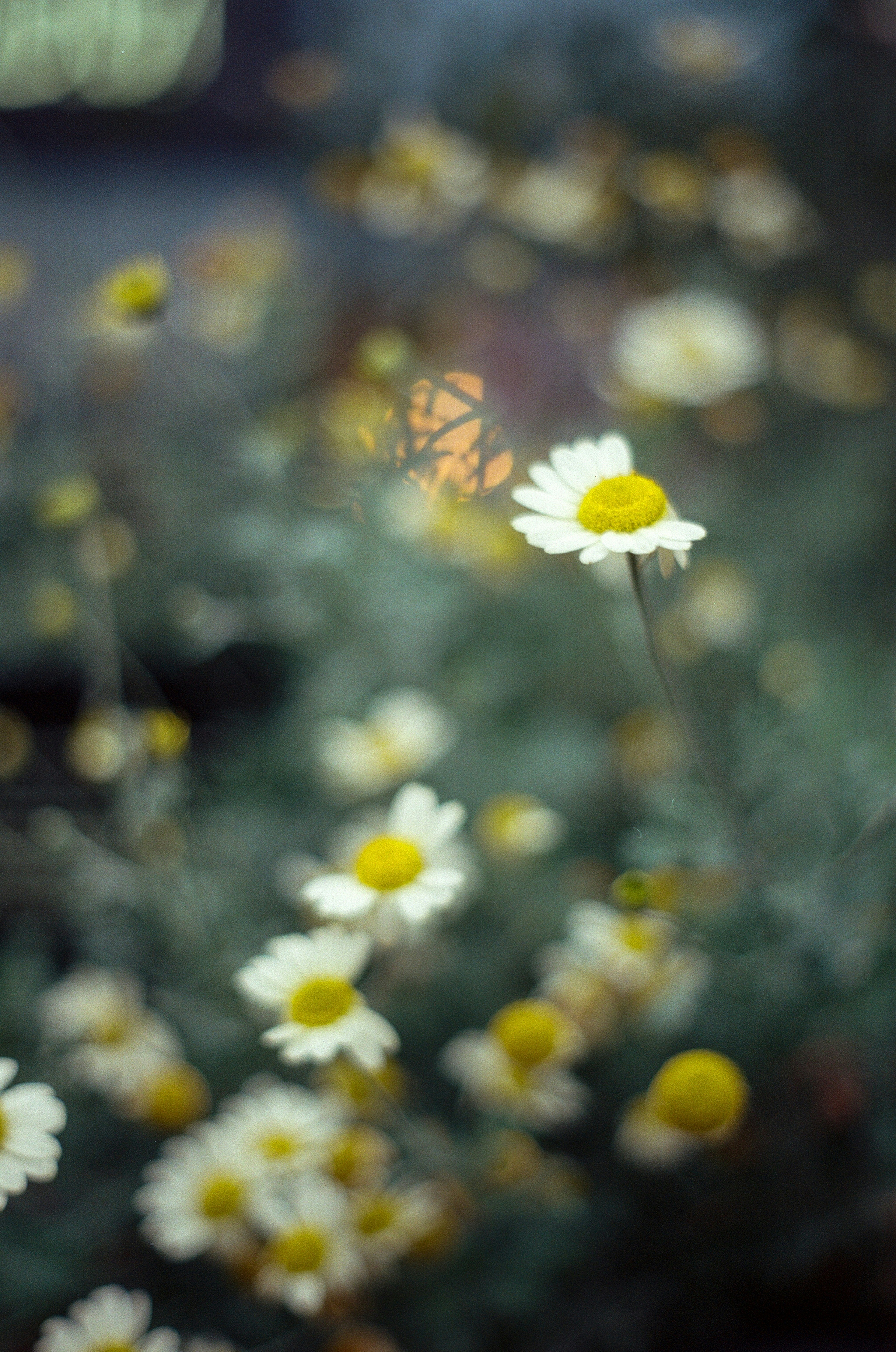 Photo by nadzeya1104