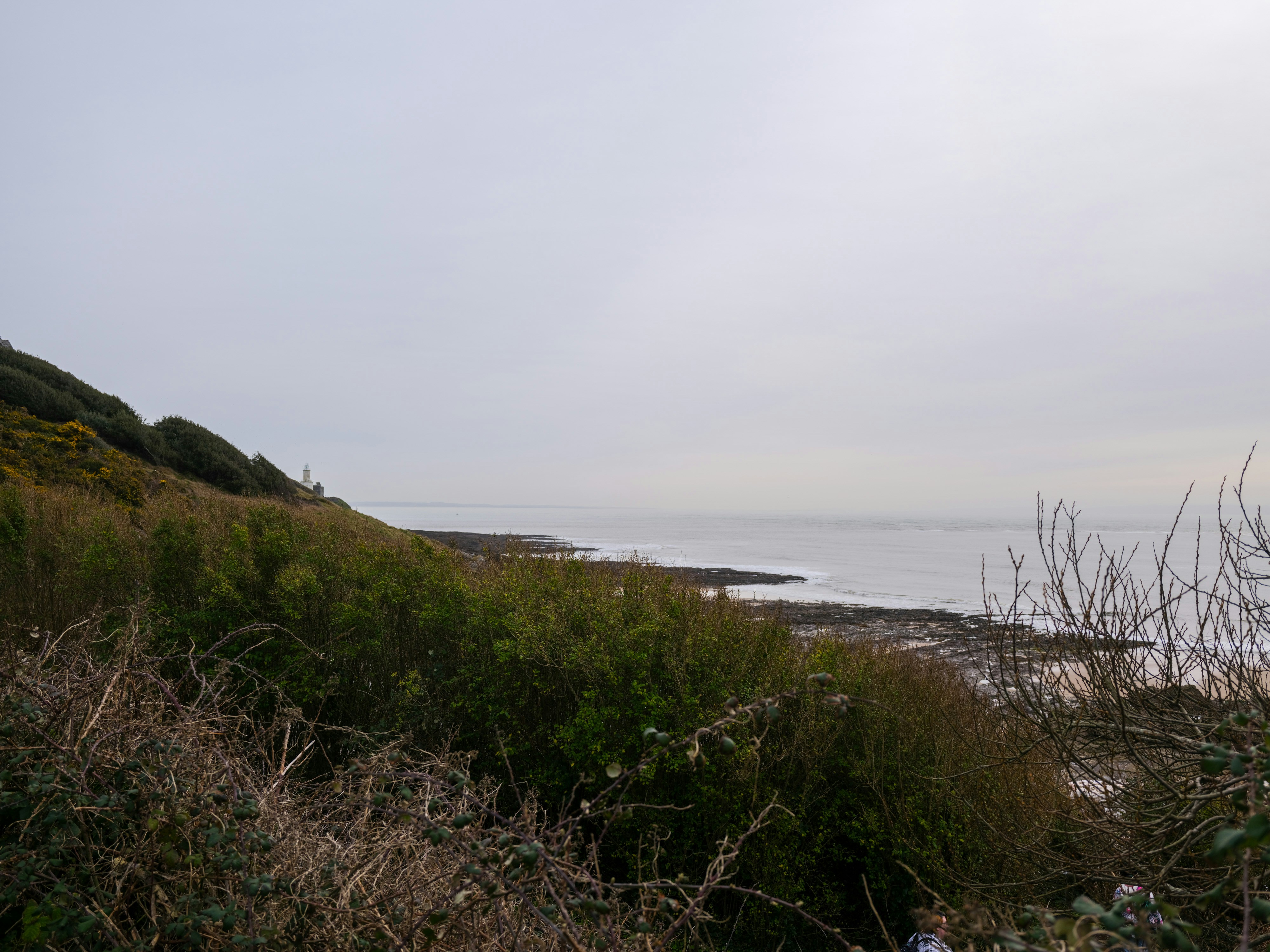 Photo by tanyabarrow